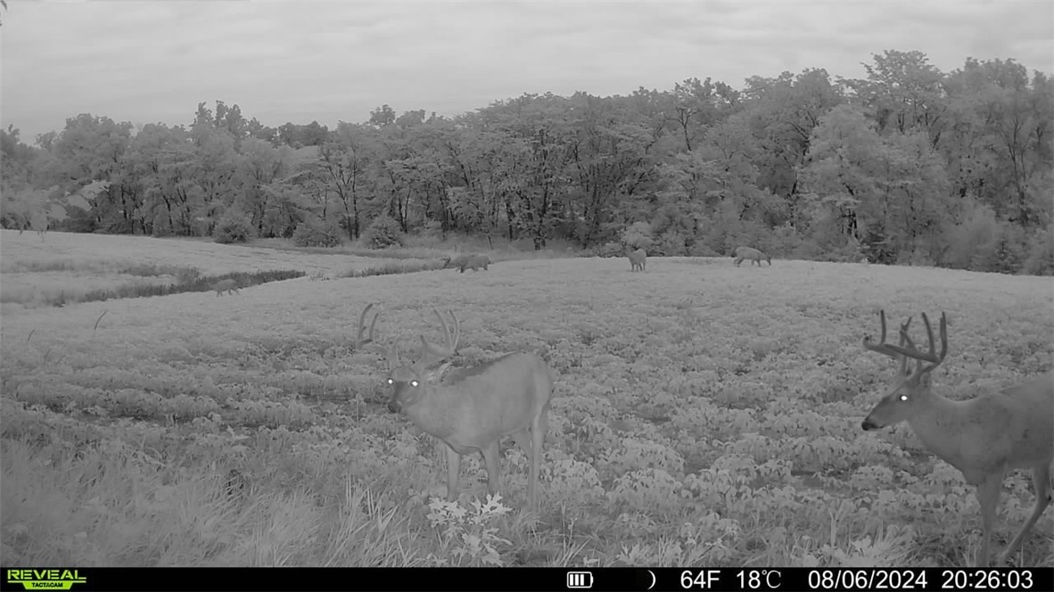 000 580th Street, Moulton, Iowa image 26