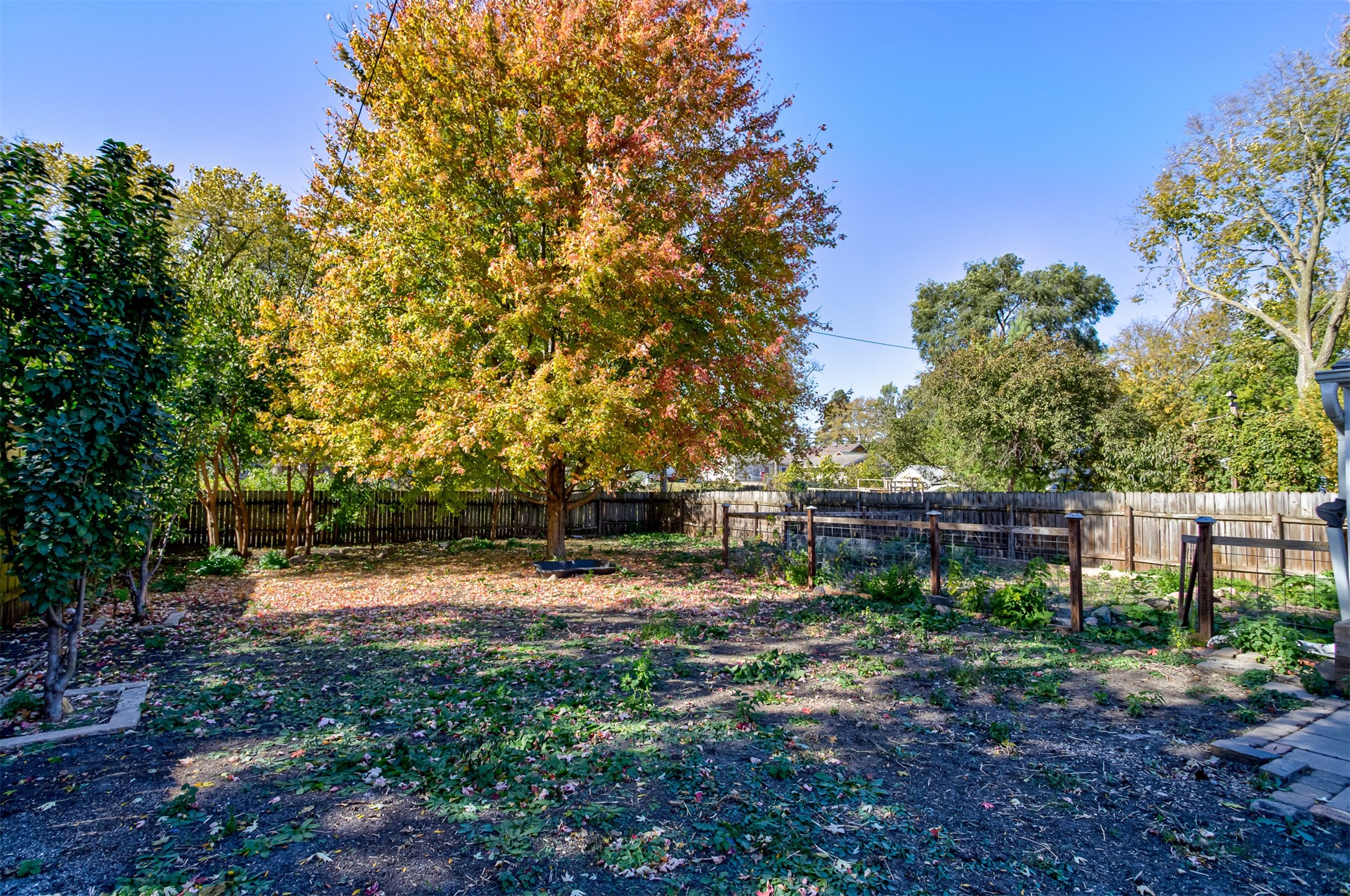 1511 Douglas Avenue, Ames, Iowa image 29