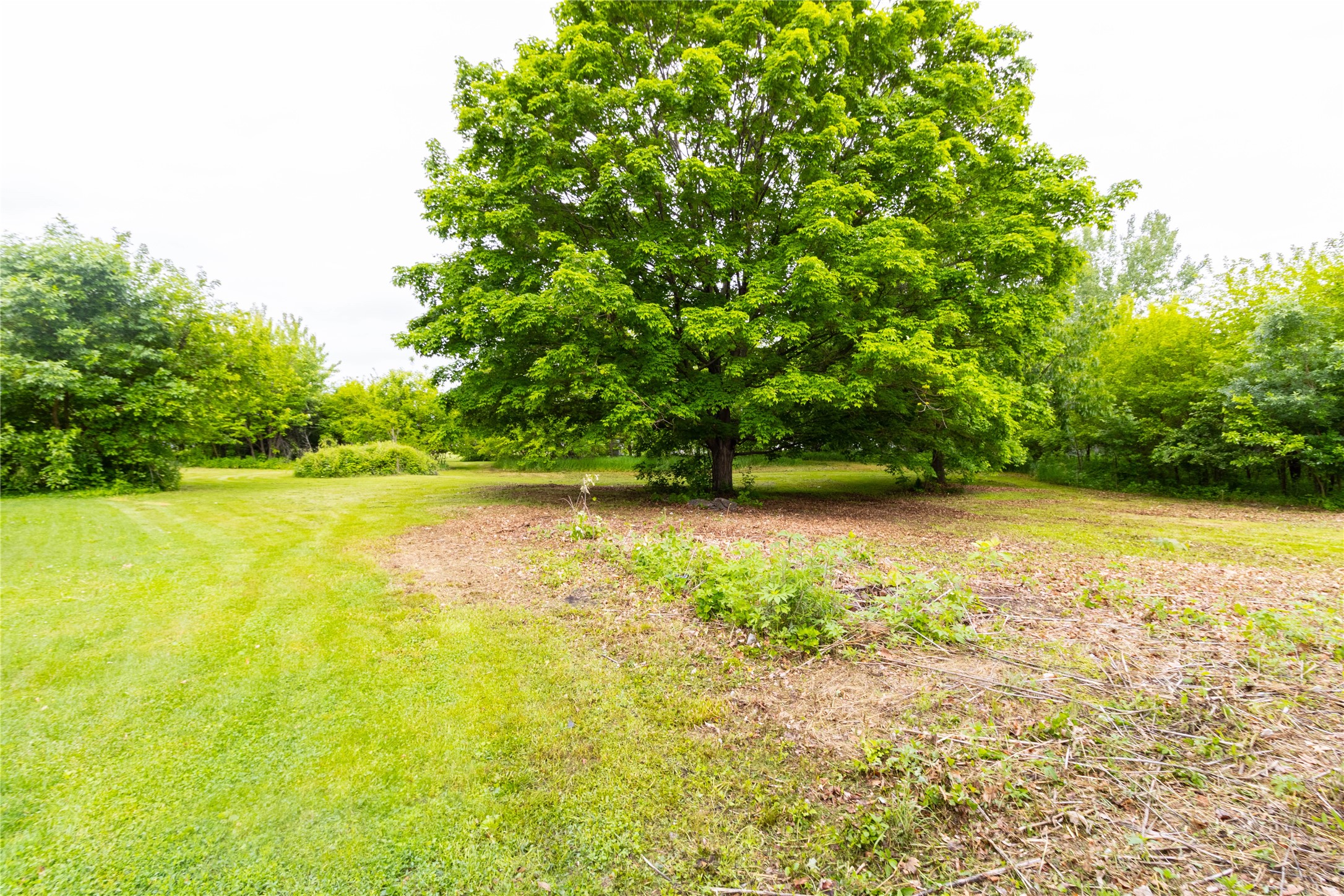 302 3rd Avenue, Altoona, Iowa image 24