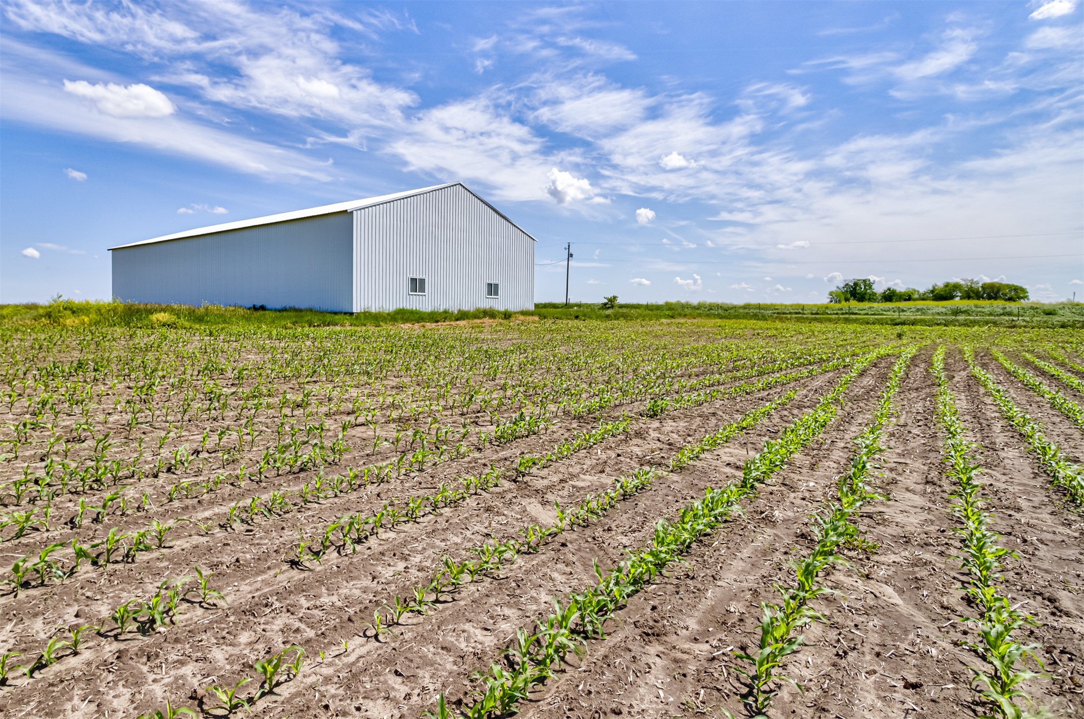 TBD NE 134th Avenue, Maxwell, Iowa image 9
