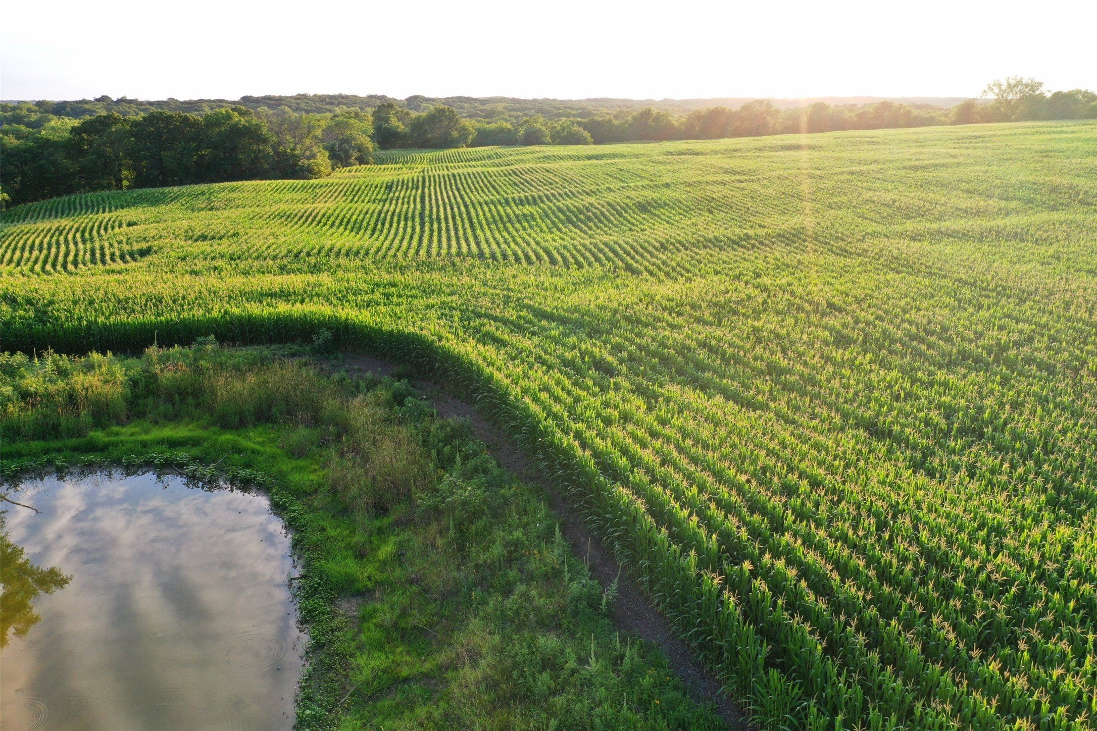 140th Avenue, Lamoni, Iowa image 8