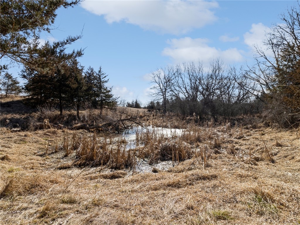 20236 Mill Creek Lane, Adel, Iowa image 34