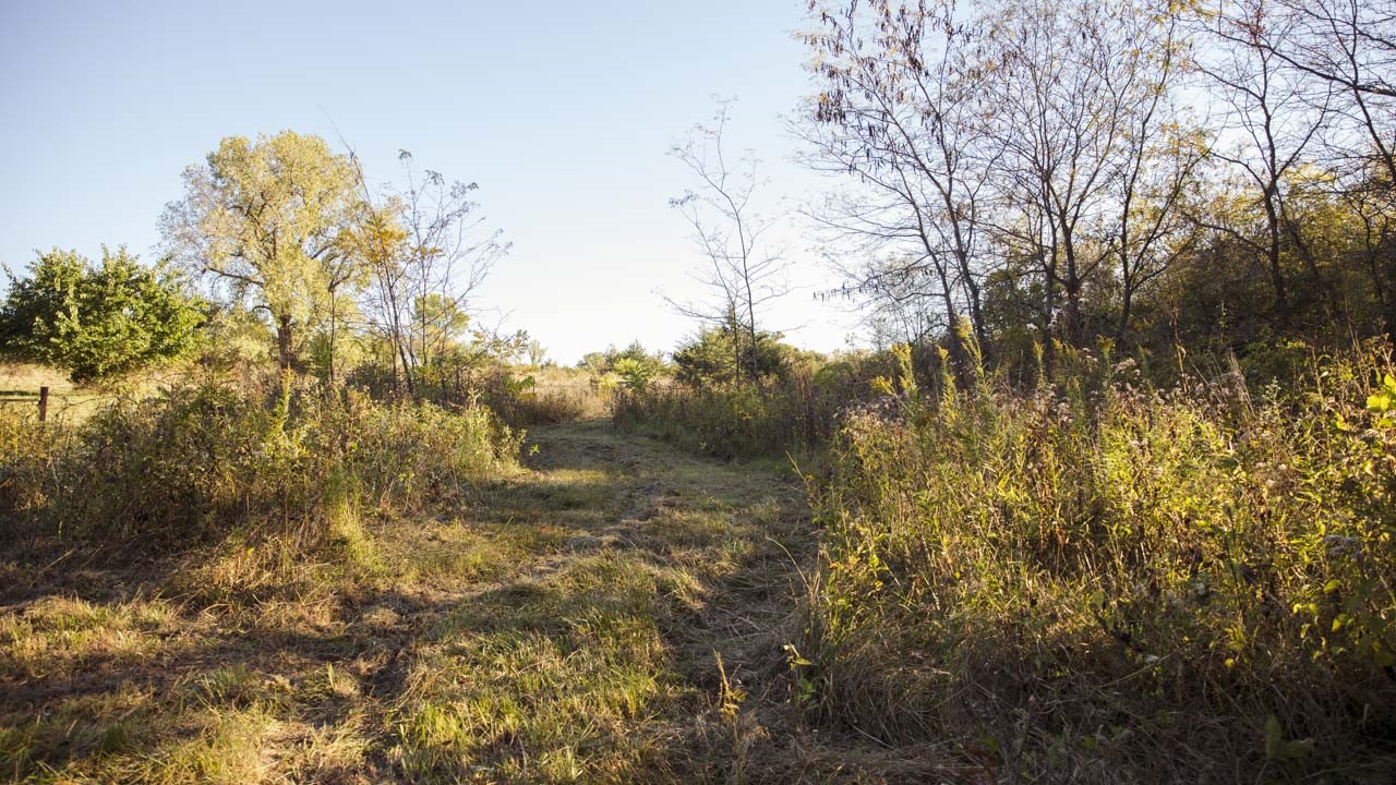 0000 Lineville Road, Lineville, Iowa image 30