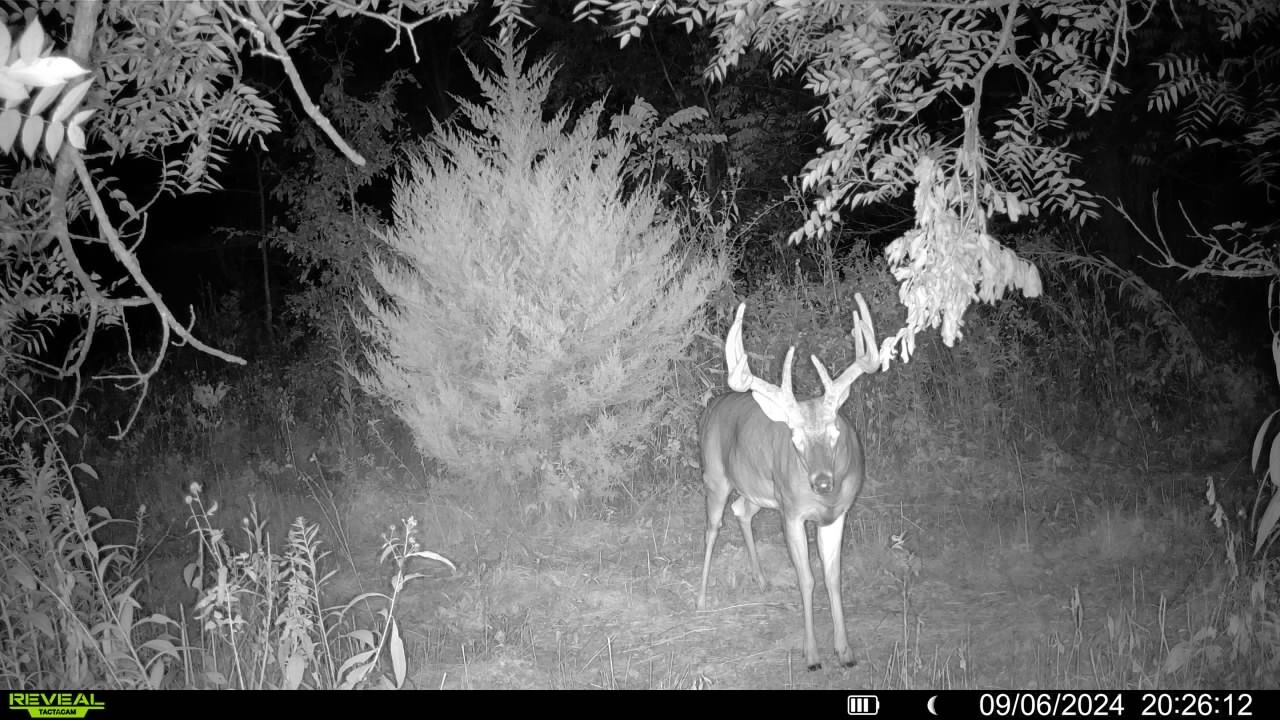 0000 Lineville Road, Lineville, Iowa image 13