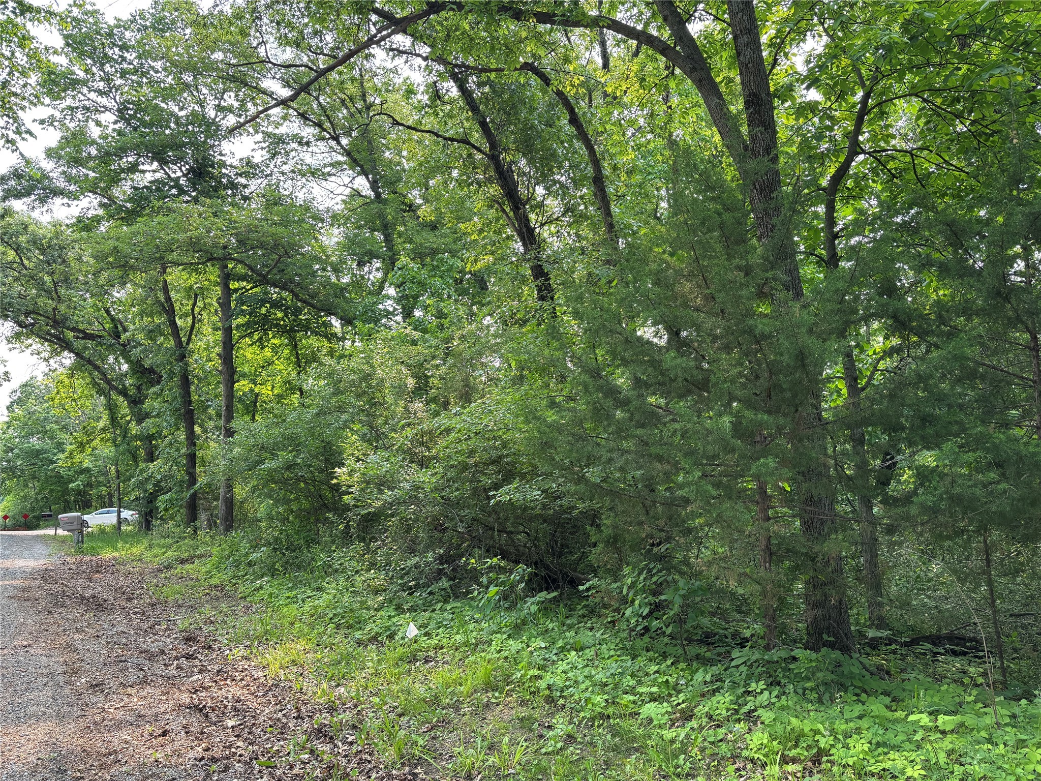 000 Chucks Hill, Panora, Iowa image 3