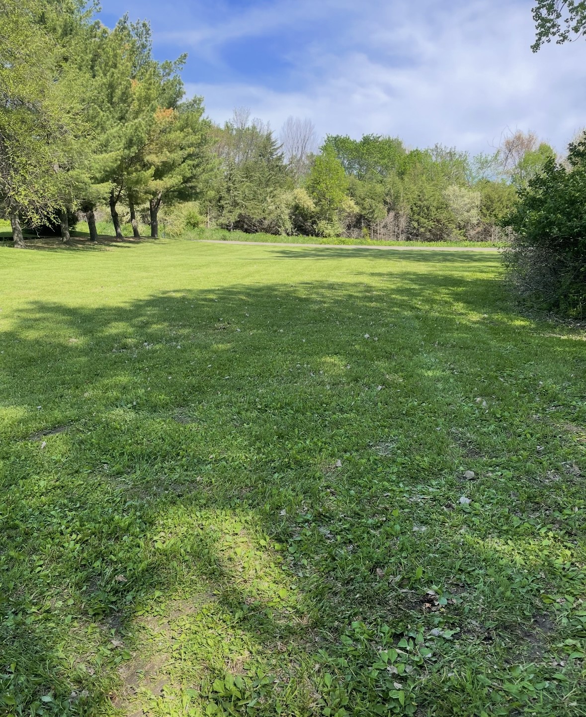 4643 Panorama Drive, Panora, Iowa image 5