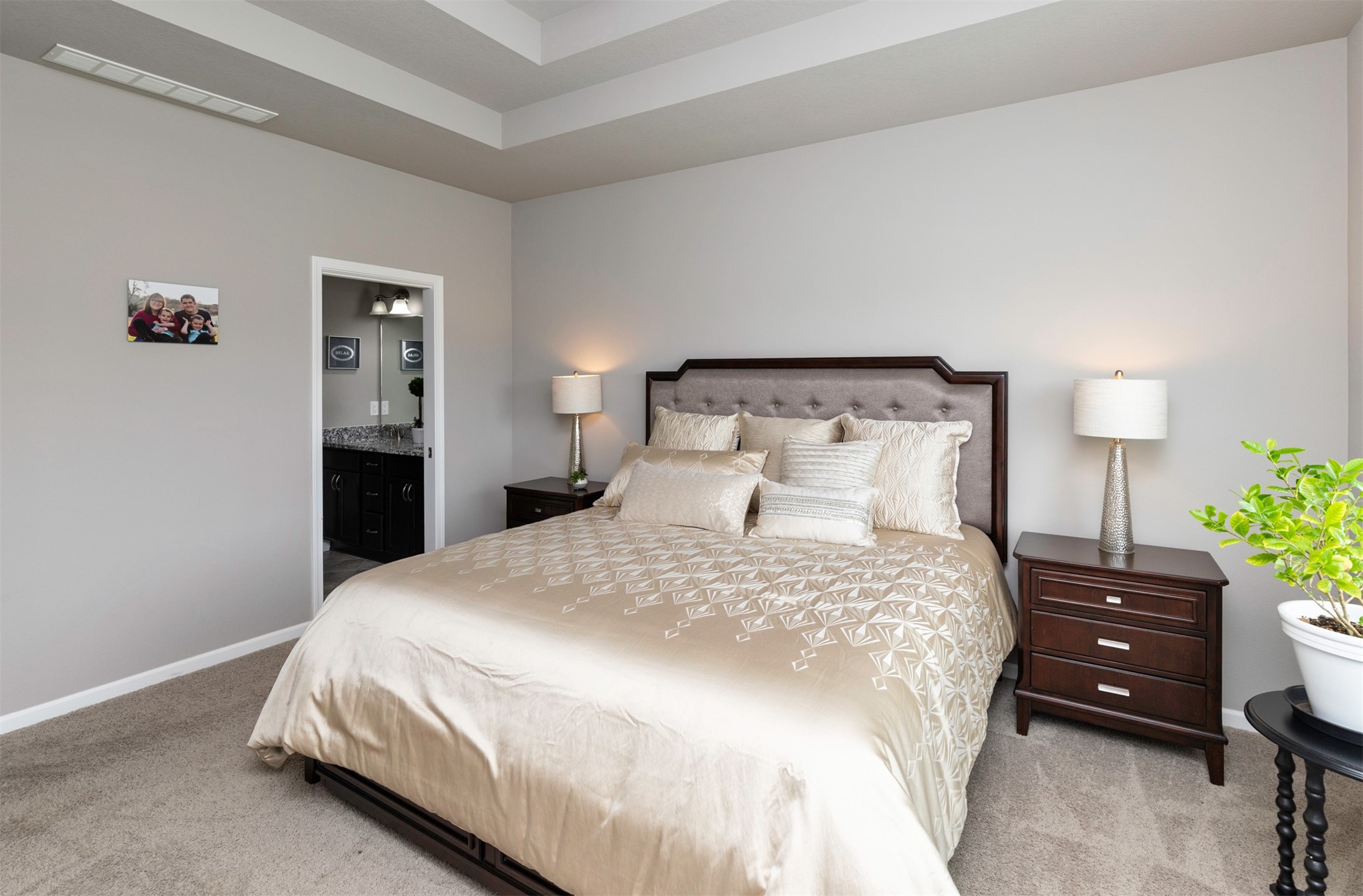 1245 Blue Bonnet Drive, Carlisle, Iowa image 11