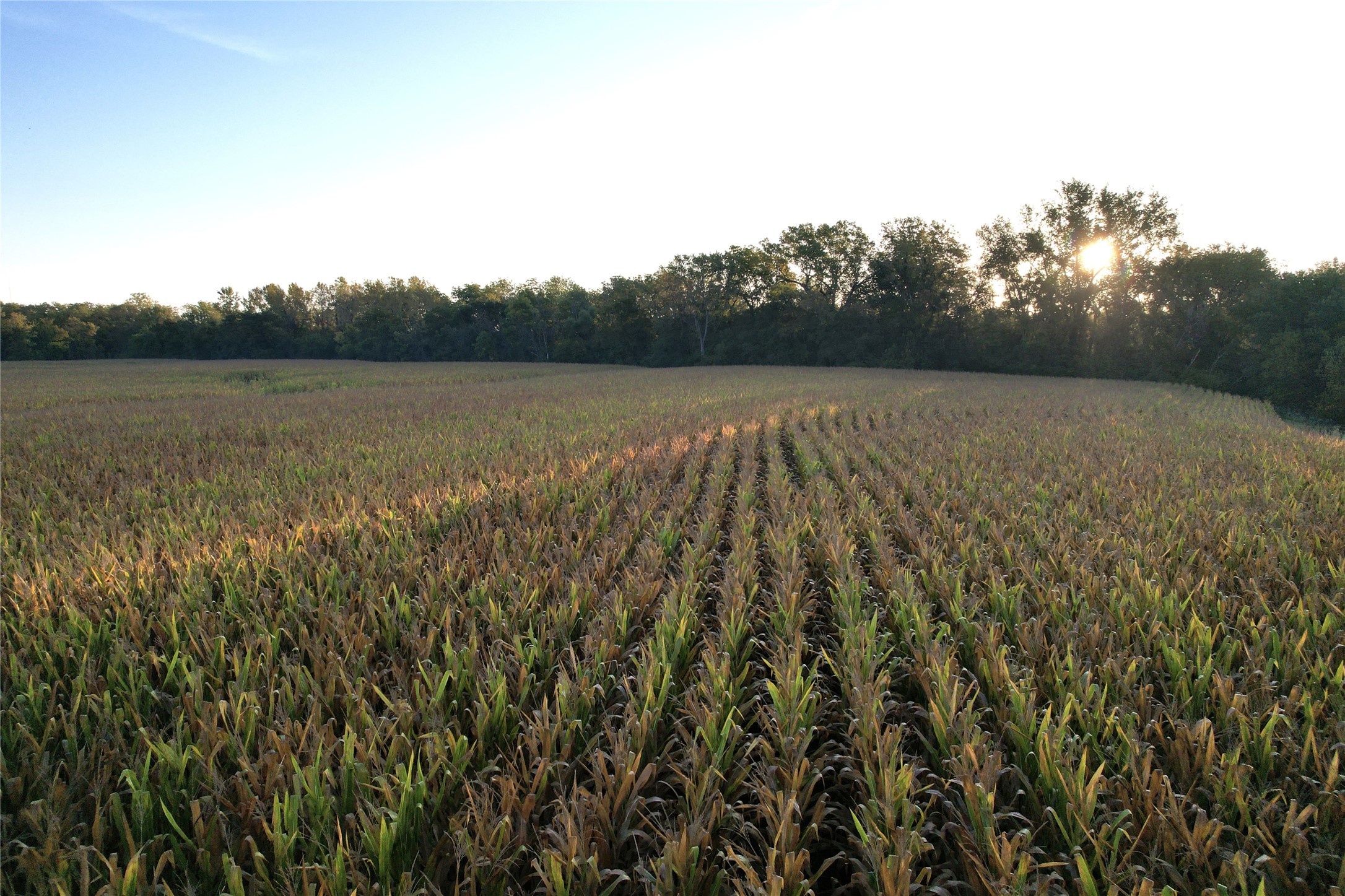 00 30th Avenue, Prole, Iowa image 8