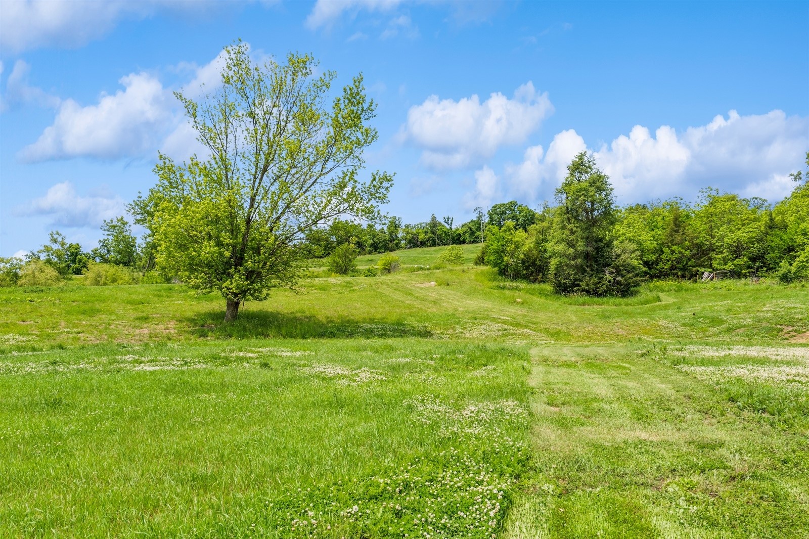 2391 Carver Road, Winterset, Iowa image 17