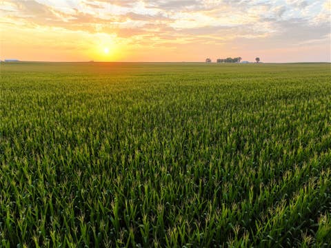 Vacant Land For Sale - 105th Street<br/> Boone County, Pilot Mound, IA 50223