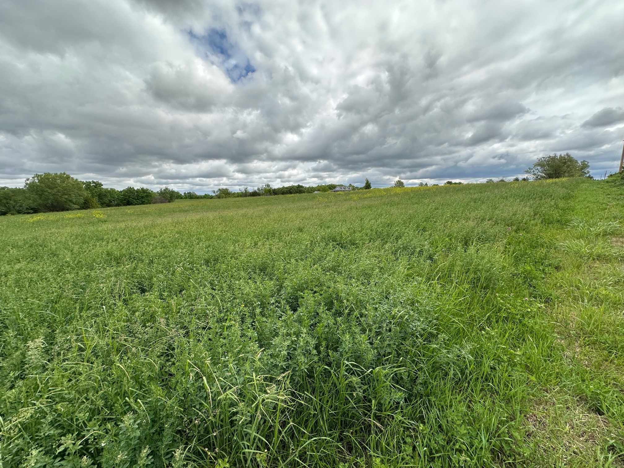 2215 245th Lane, Winterset, Iowa image 7