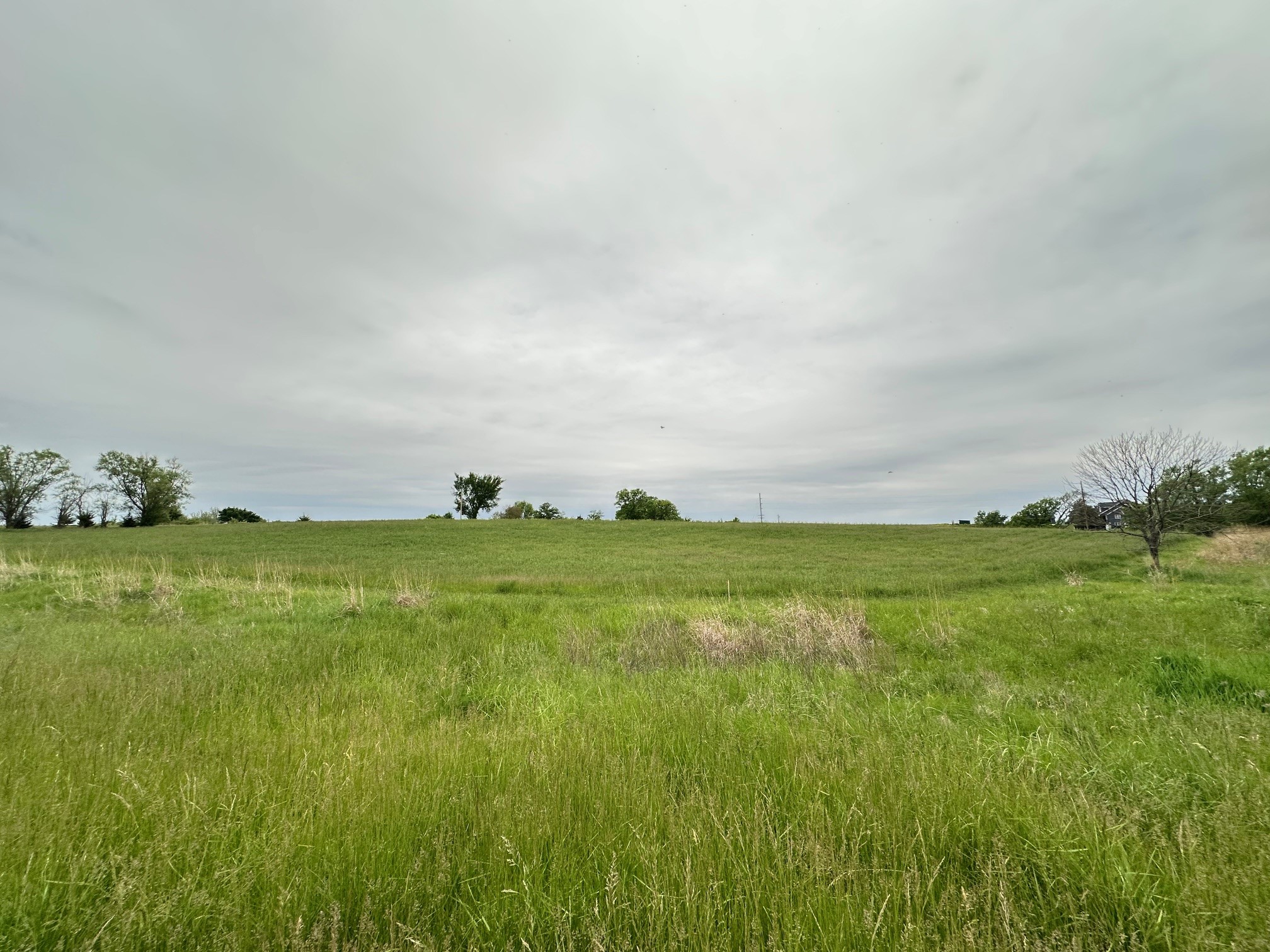 2215 245th Lane, Winterset, Iowa image 4