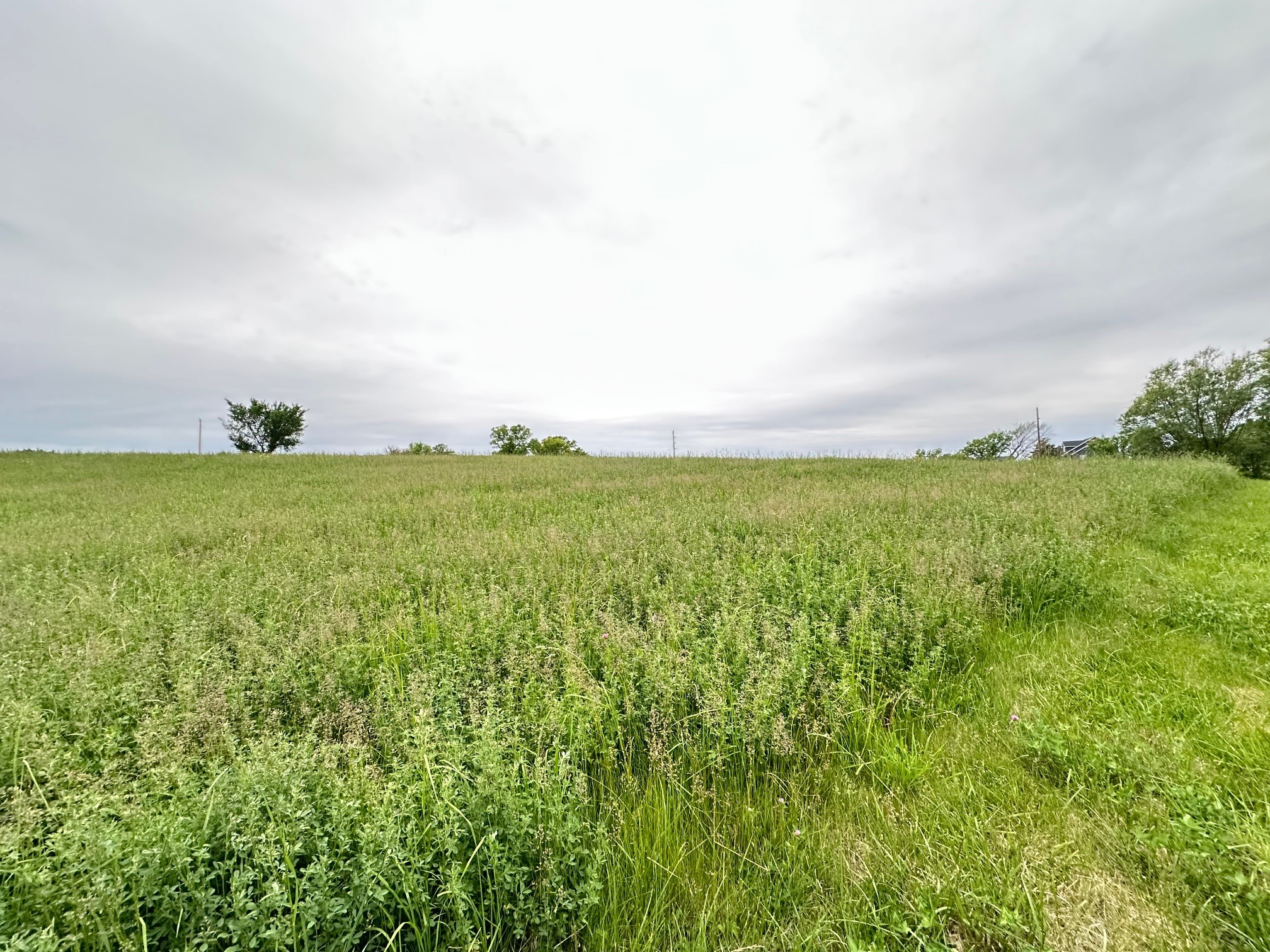 2215 245th Lane, Winterset, Iowa image 3