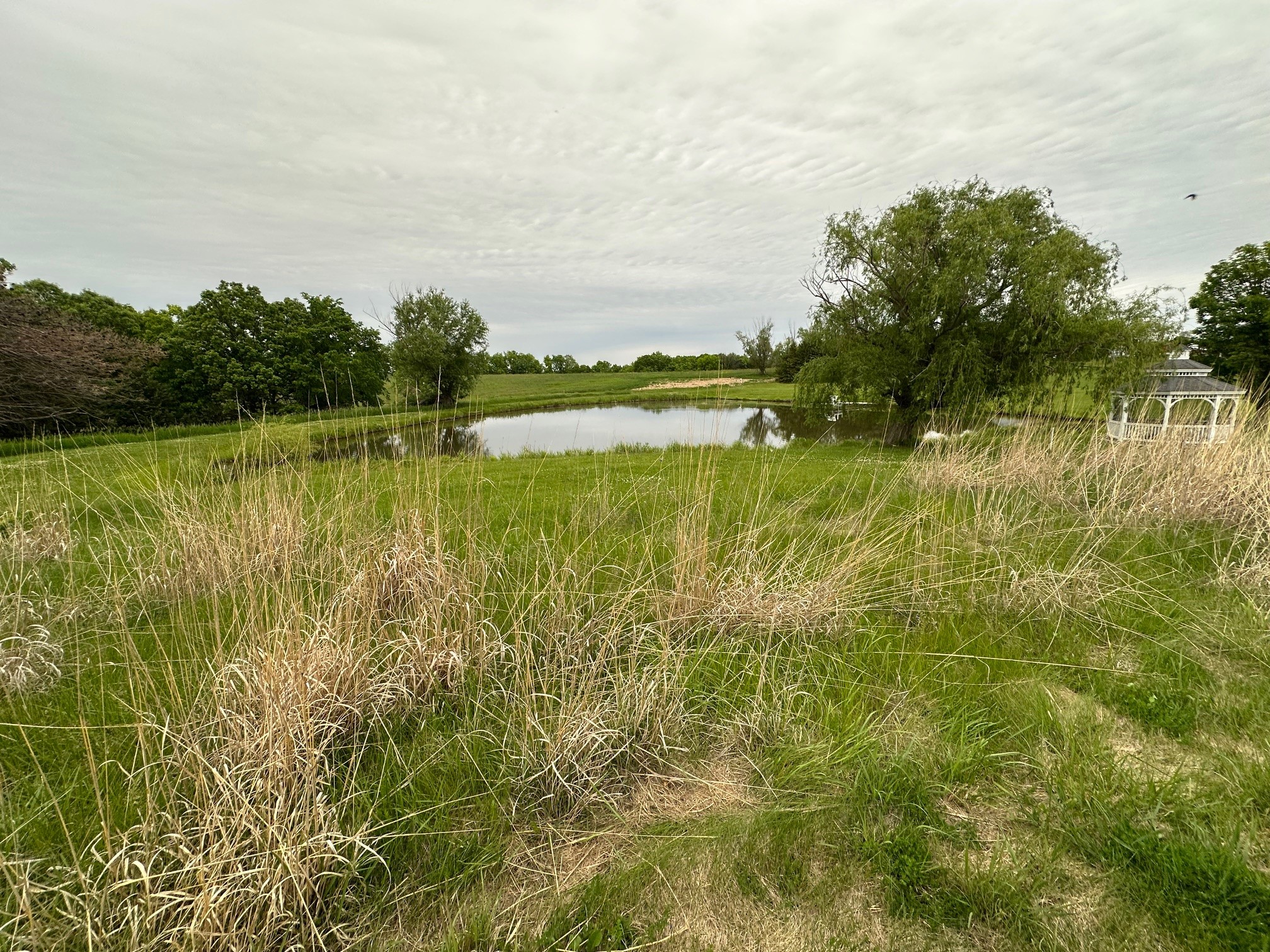 2215 245th Lane, Winterset, Iowa image 2