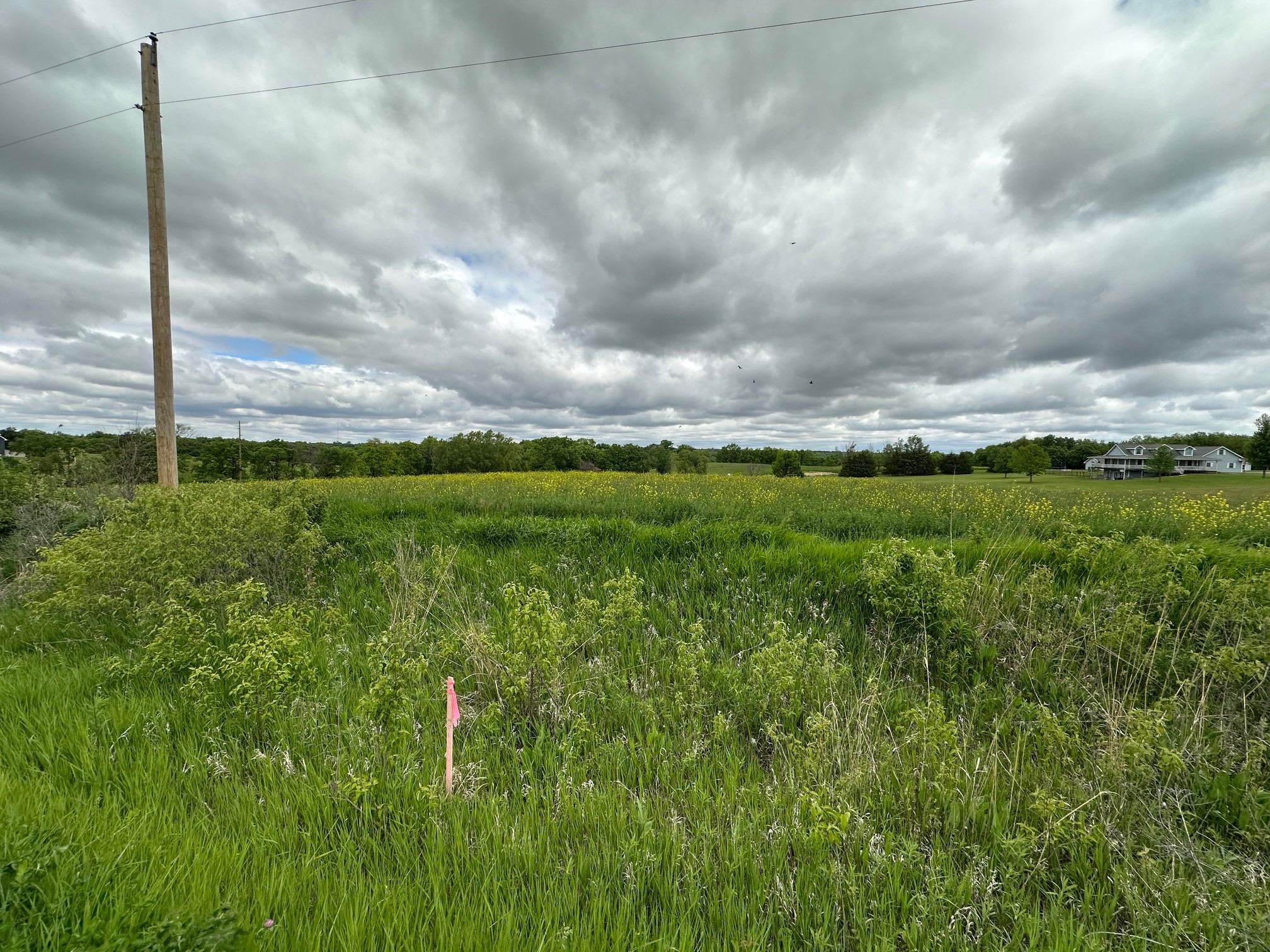 2215 245th Lane, Winterset, Iowa image 8