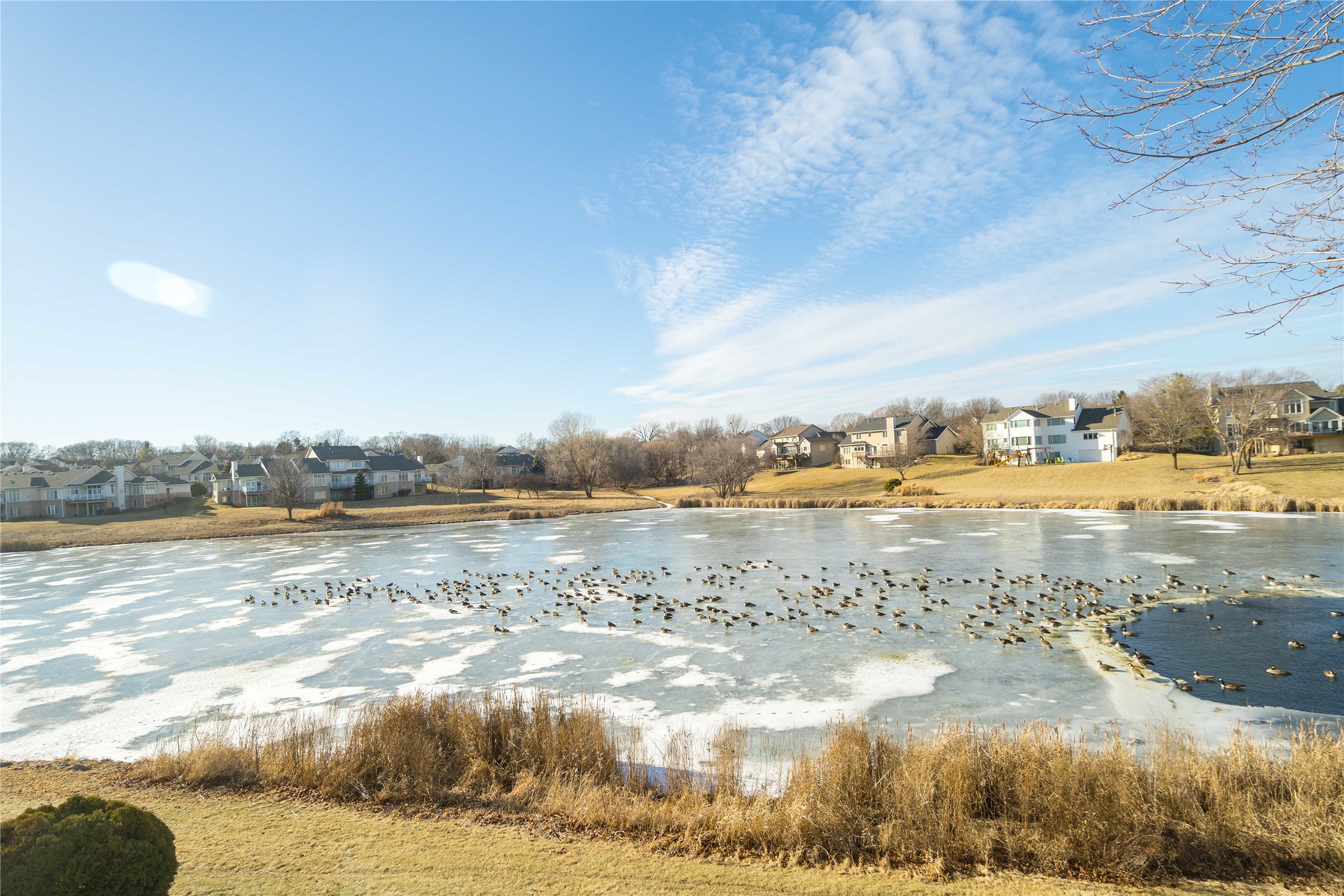 1490 Dover Bay Drive, Clive, Iowa image 13