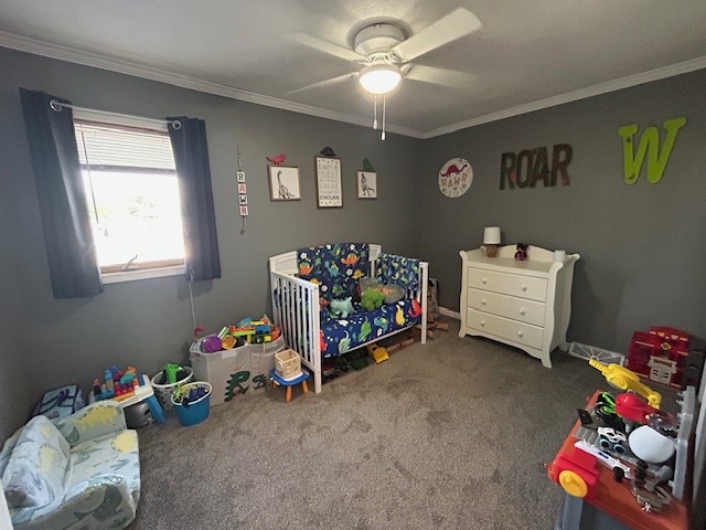 704 Wilson Street, Tama, Iowa image 13