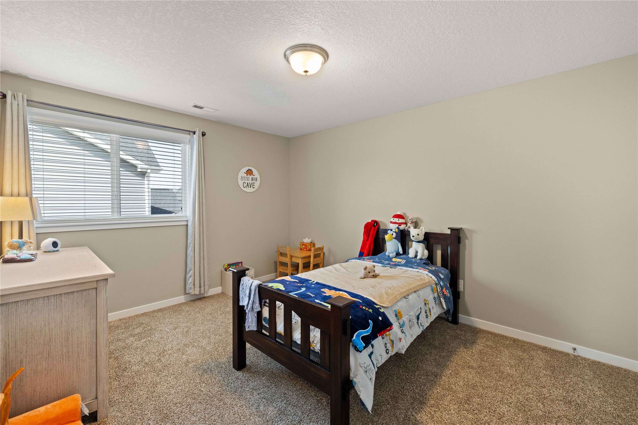 270 NE Prairie Wolf Drive, Waukee, Iowa image 12