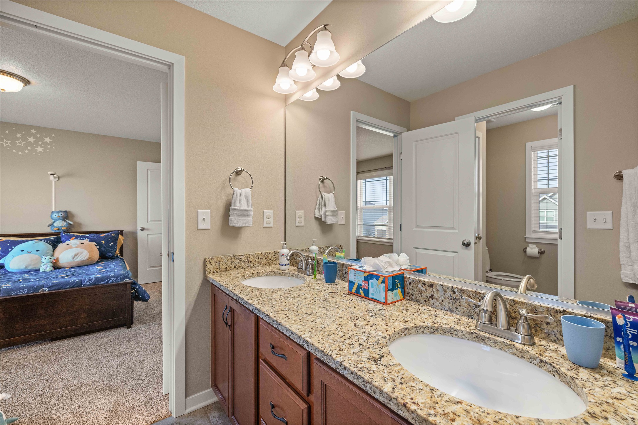 270 NE Prairie Wolf Drive, Waukee, Iowa image 13