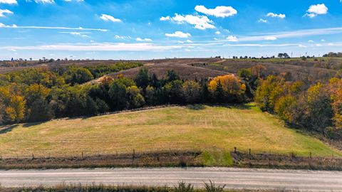 Vacant Land For Sale - 3280 260th Street<br/> Adair County, Orient, IA 50858