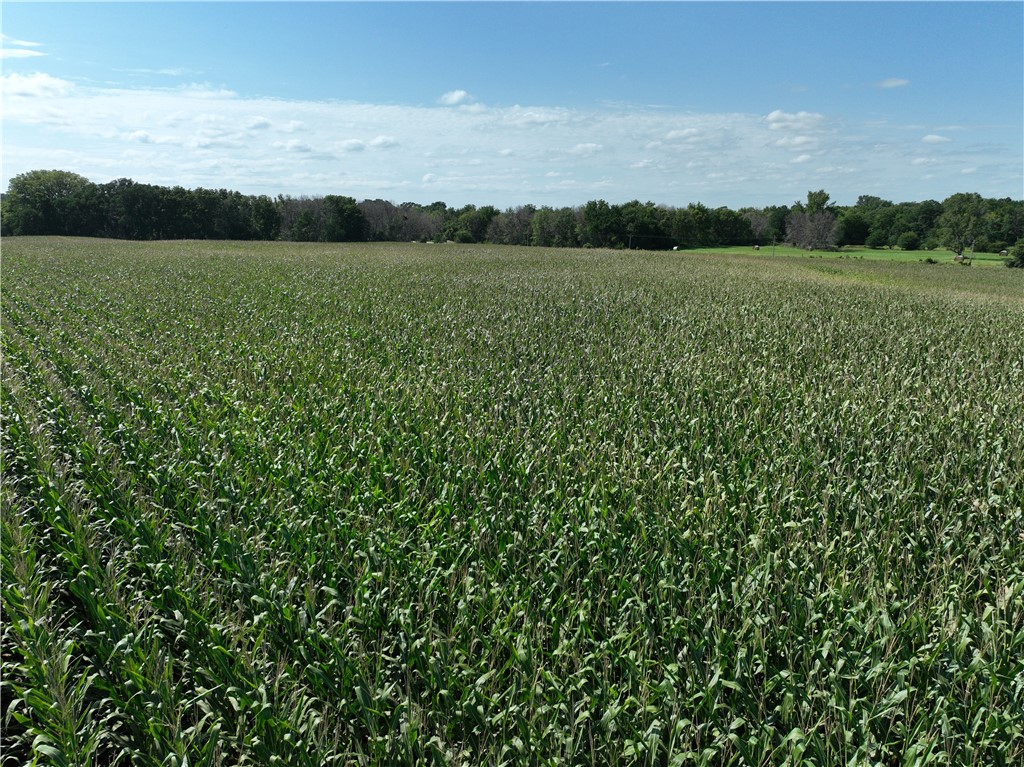 190th Street, Webster City, Iowa image 3