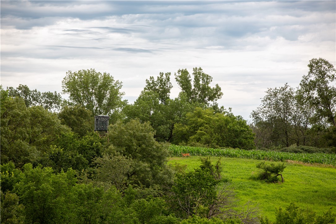 3003 220th Street, Chelsea, Iowa image 9