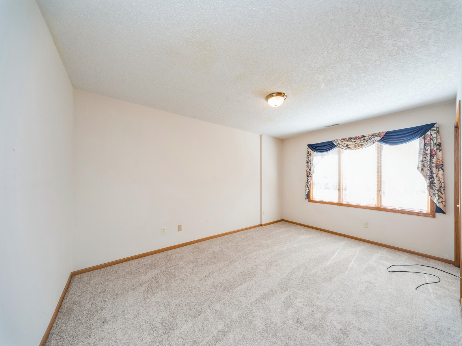 13098 Pinecrest Lane, Clive, Iowa image 19