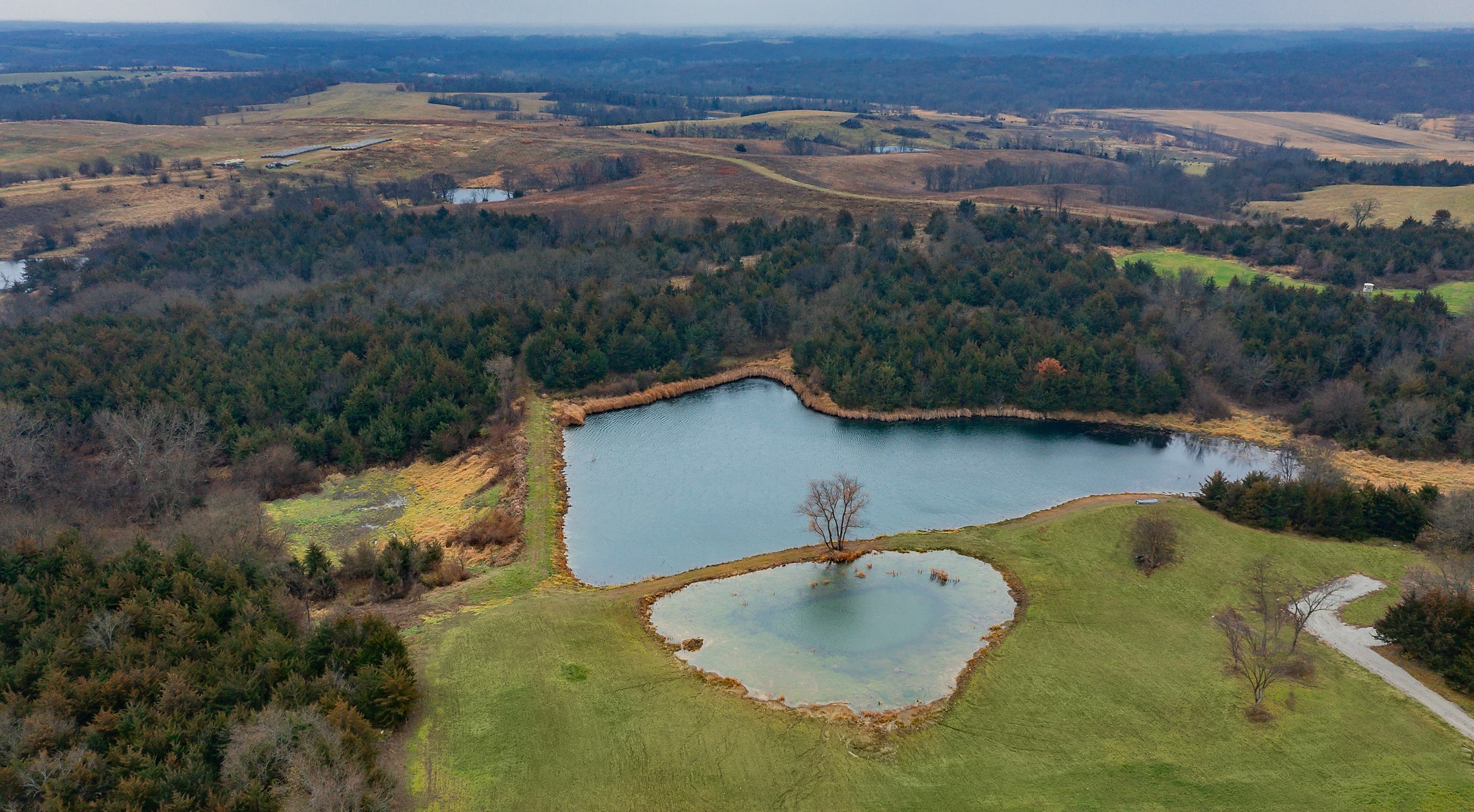 10228 Wyoming Street