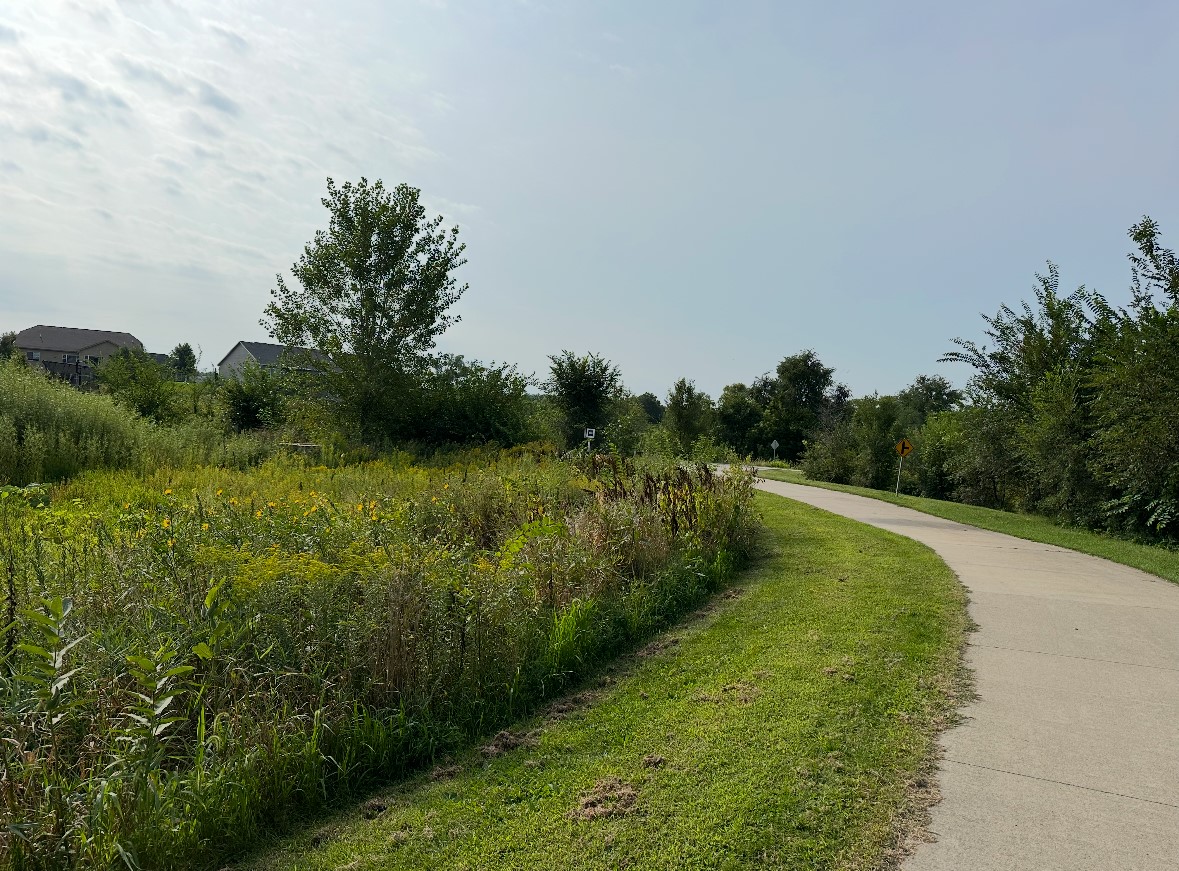 1585 Snyder Street, Waukee, Iowa image 31