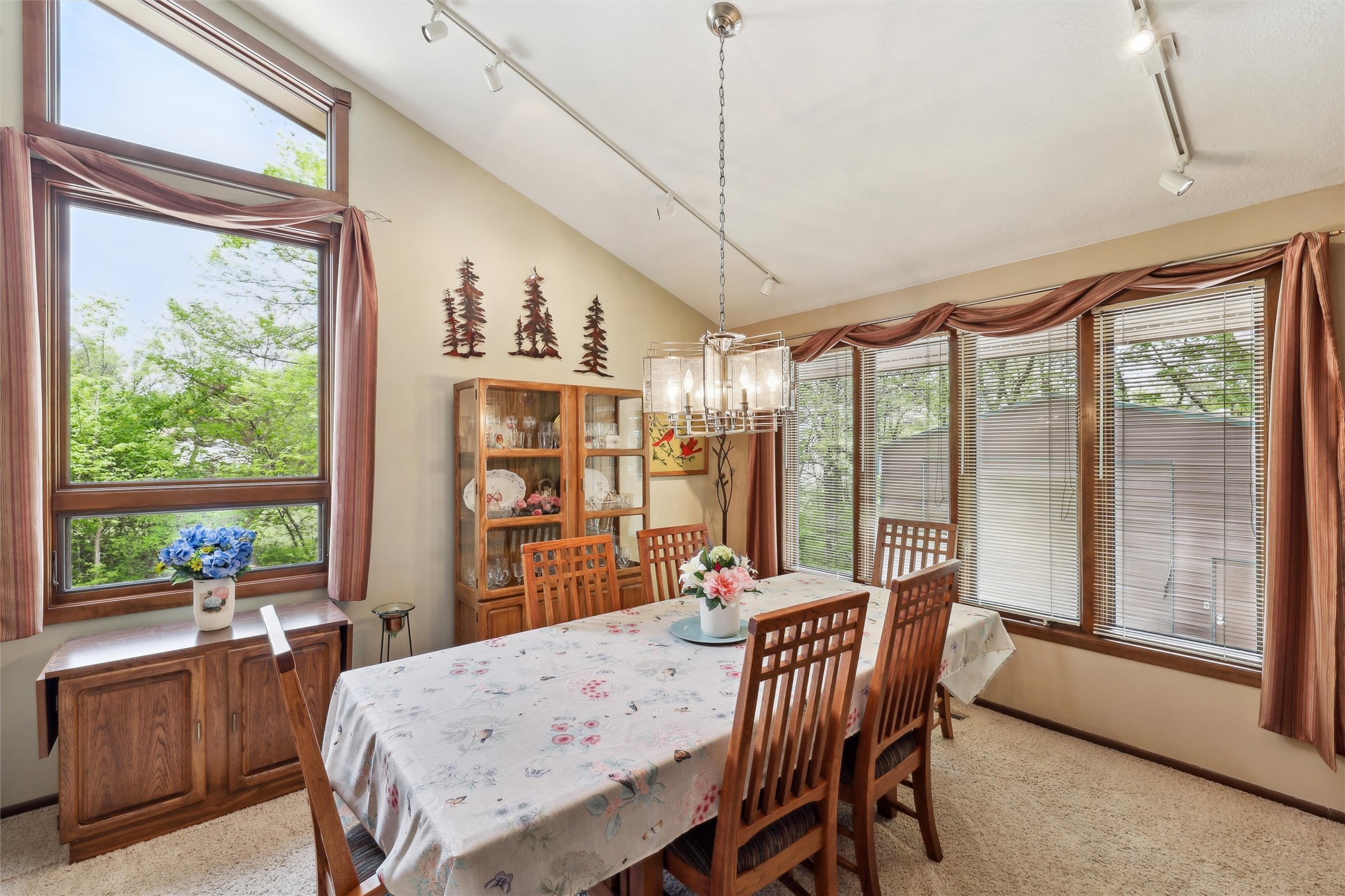 5310 NW Burr Oak Drive, Johnston, Iowa image 10