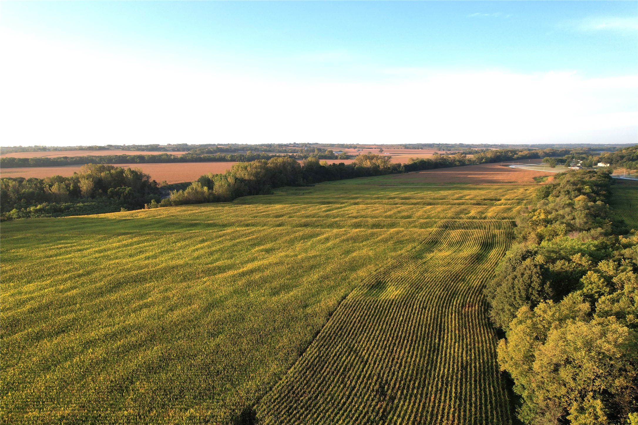 03 30th Avenue, Prole, Iowa image 9