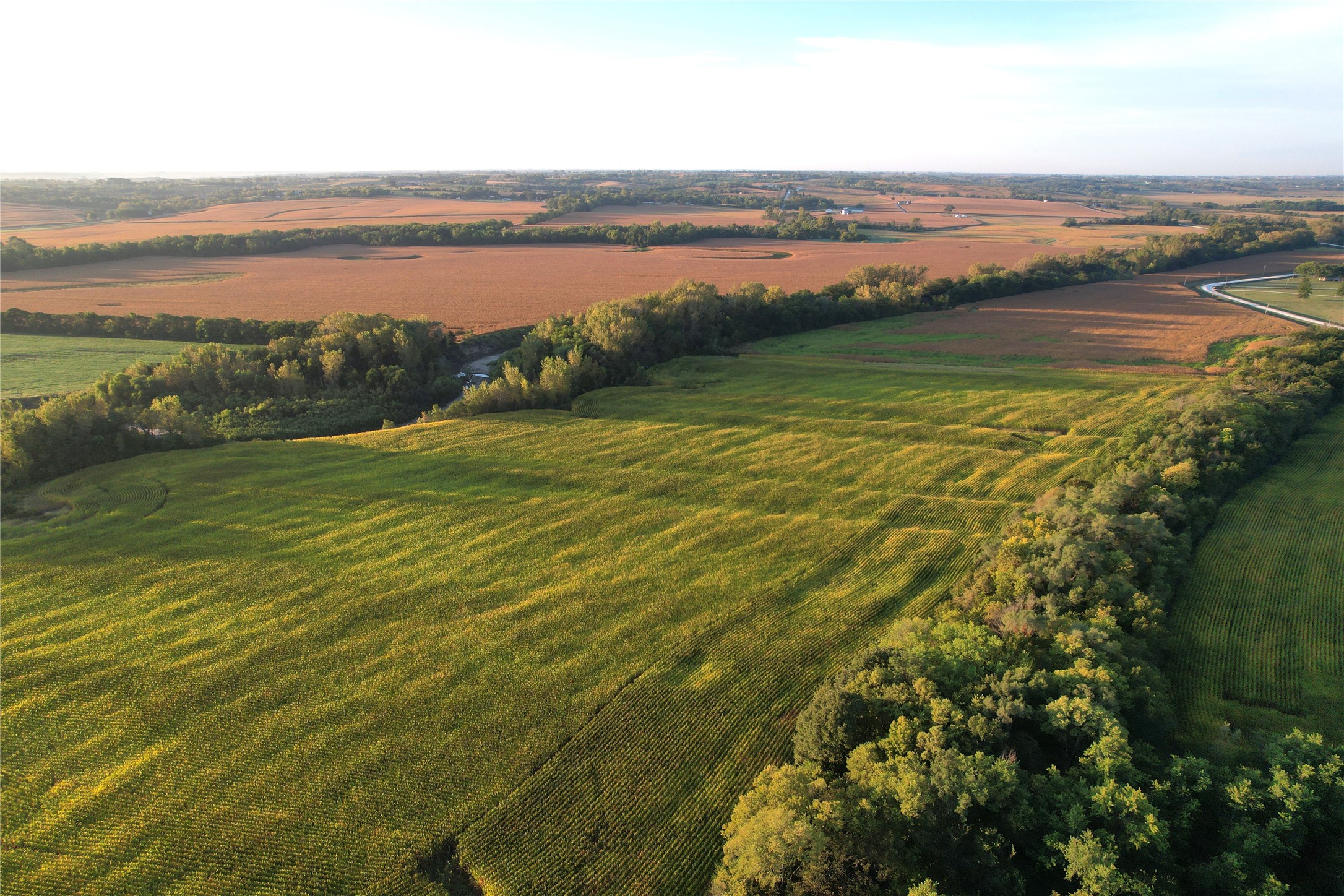 03 30th Avenue, Prole, Iowa image 6