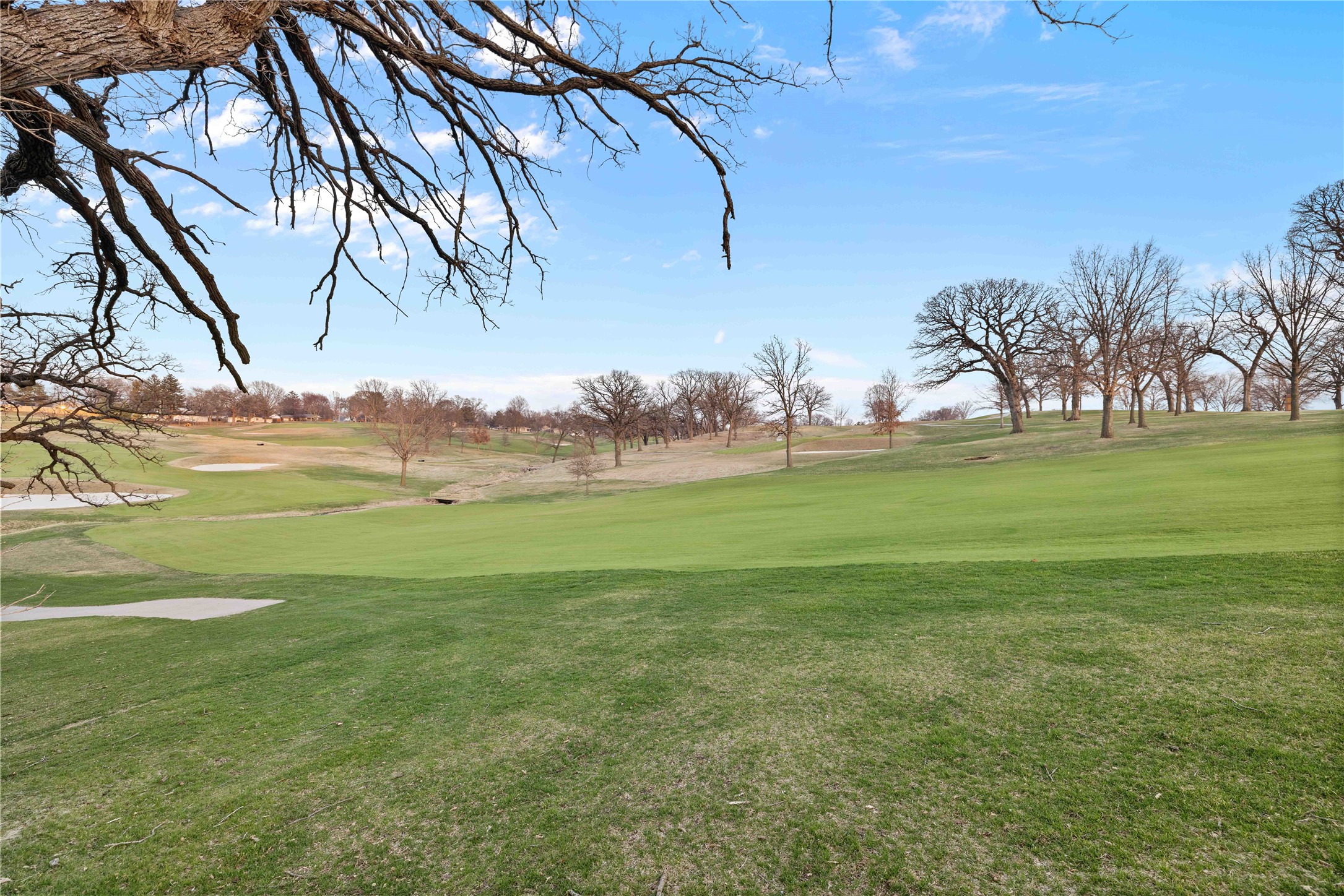 2306 Chan Drive, Adel, Iowa image 2