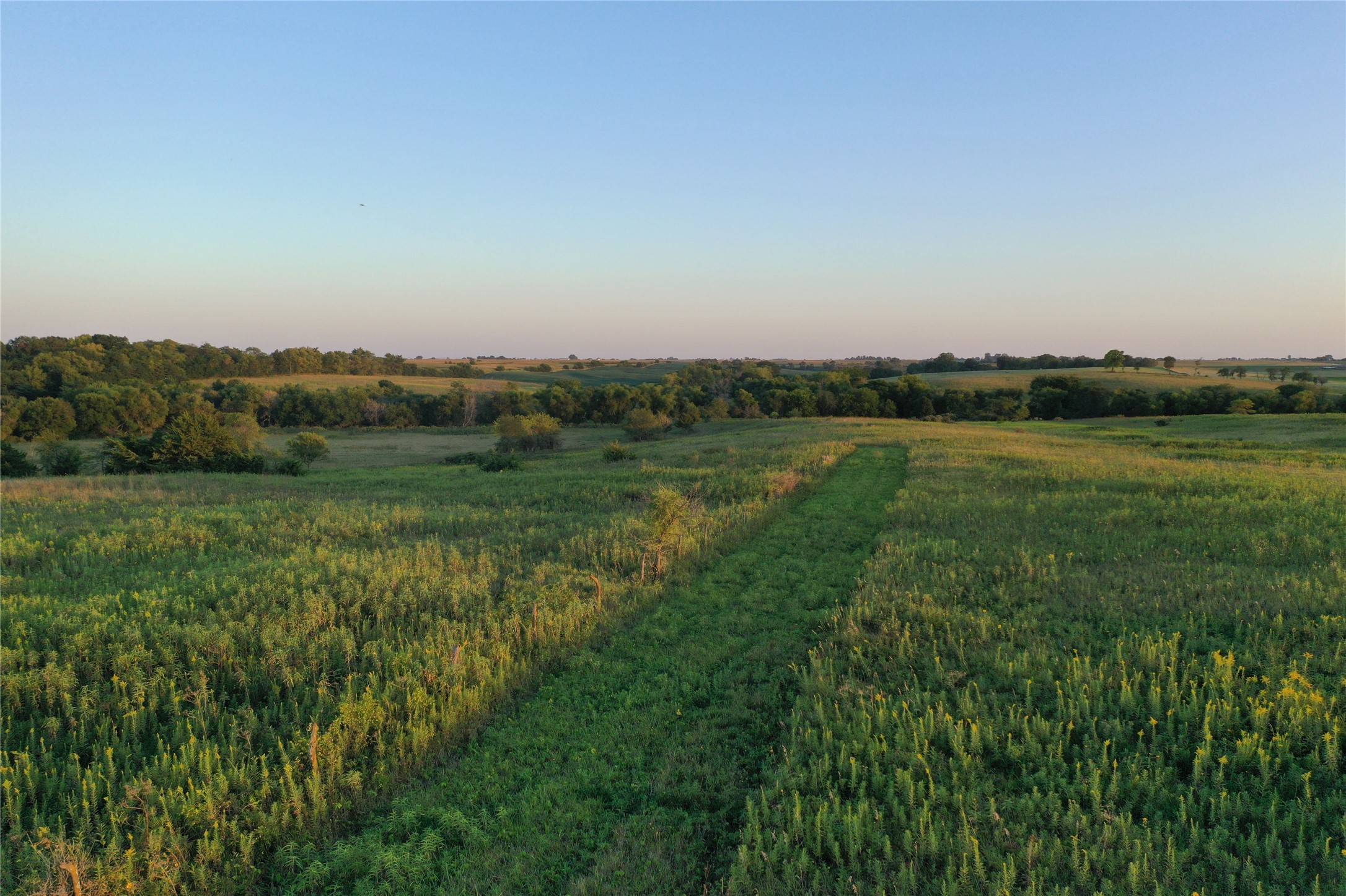 00 320th Avenue, Weldon, Iowa image 4