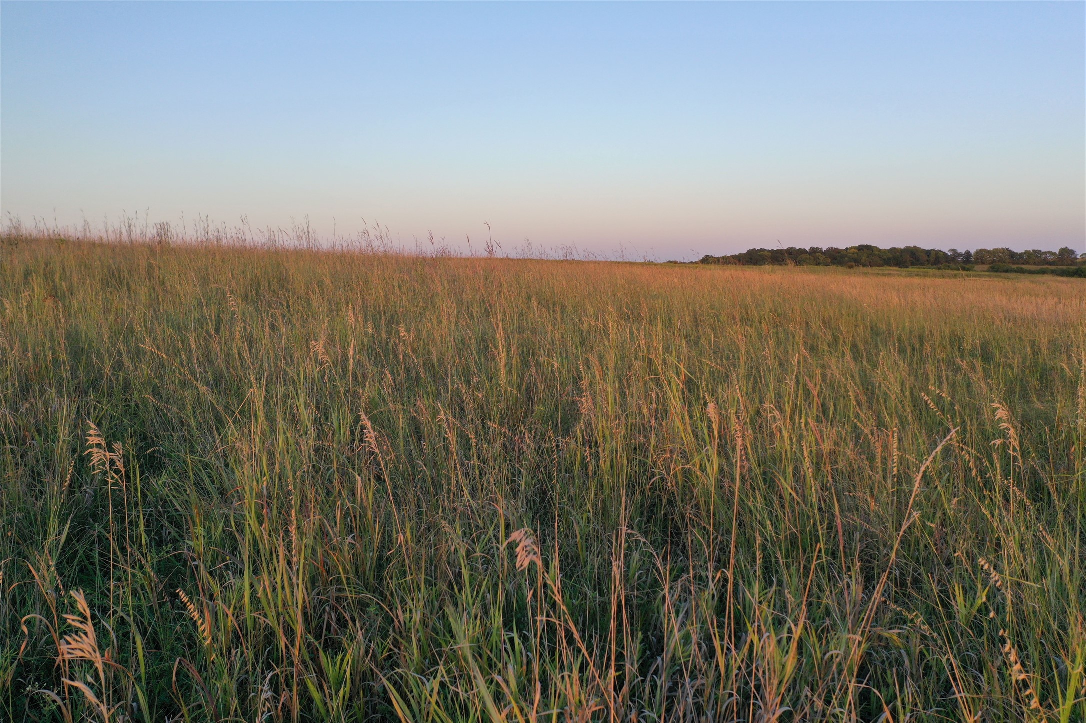 00 320th Avenue, Weldon, Iowa image 9