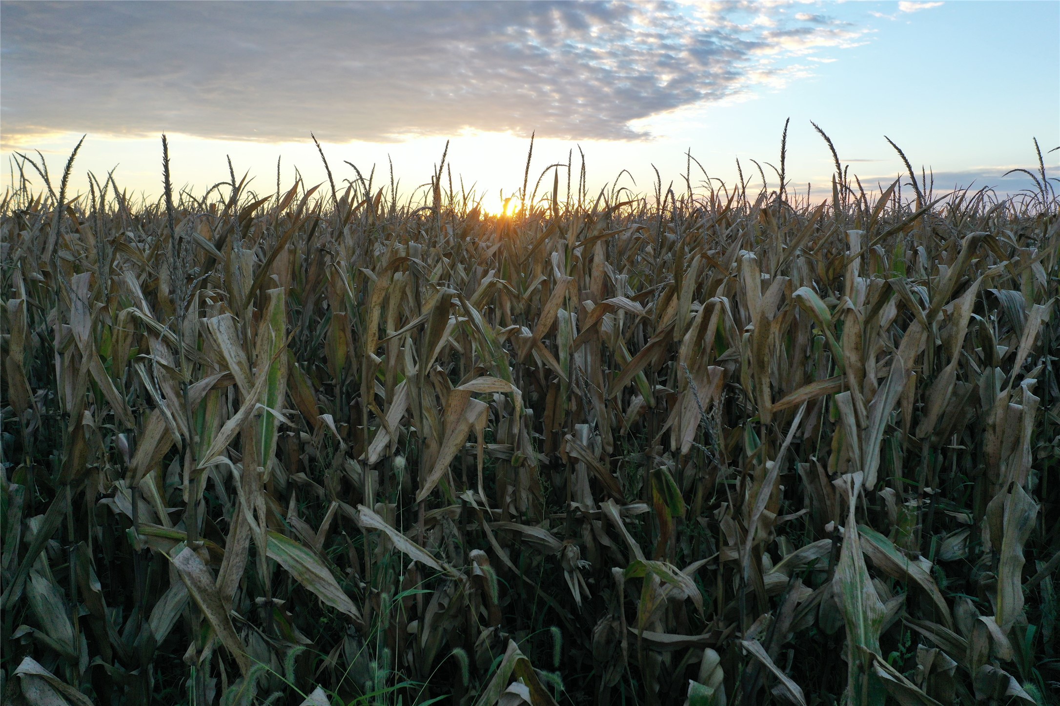 00 20th Place, Lacona, Iowa image 6