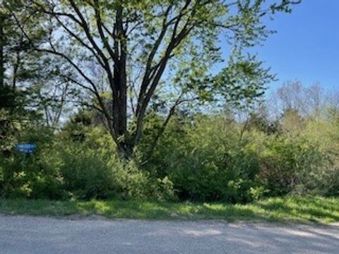Vacant Land For Sale - 4723 Canfield Drive<br/> Guthrie County, Panora, IA 50216
