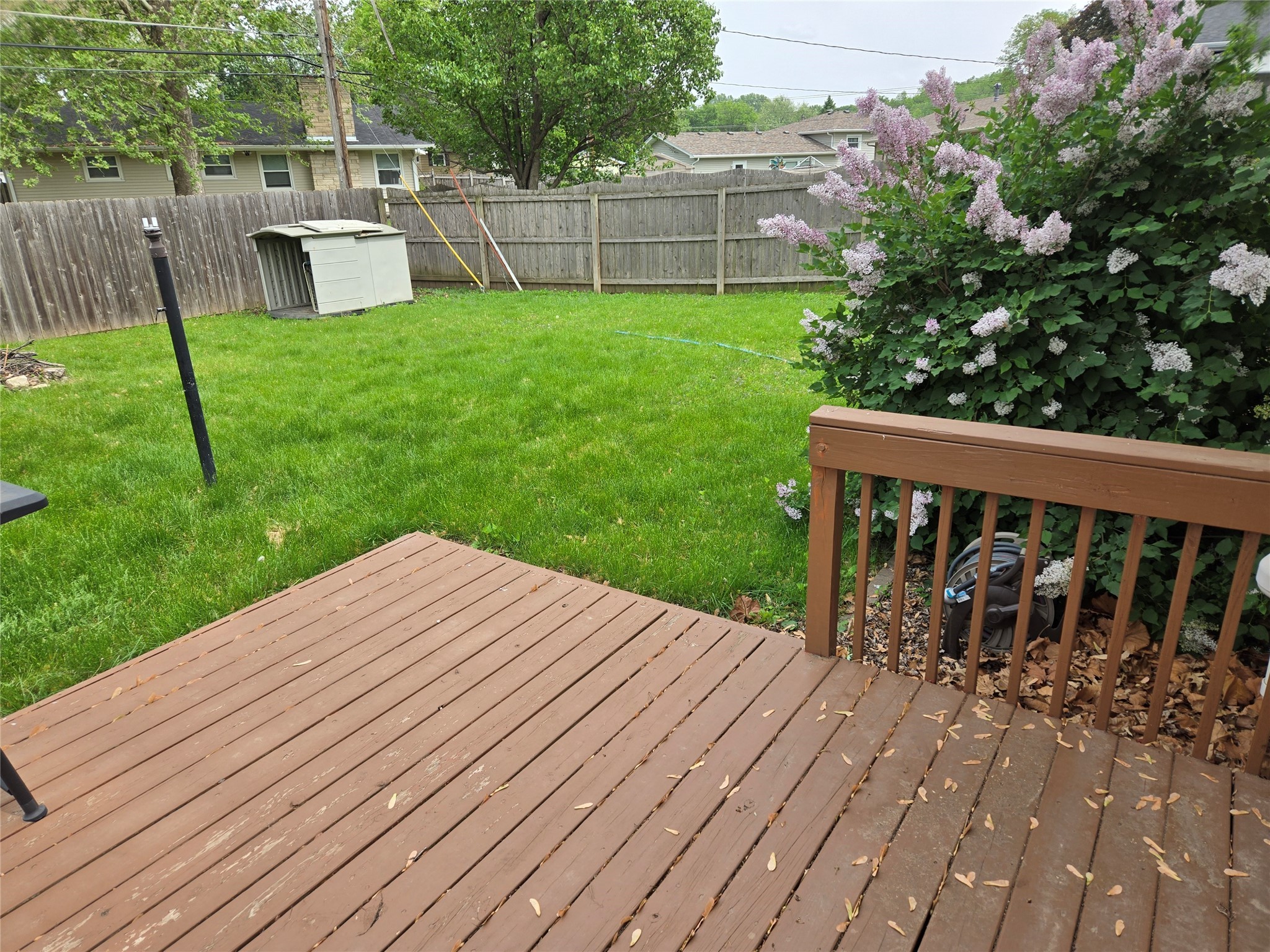 1735 Elmwood Drive, Bettendorf, Iowa image 18