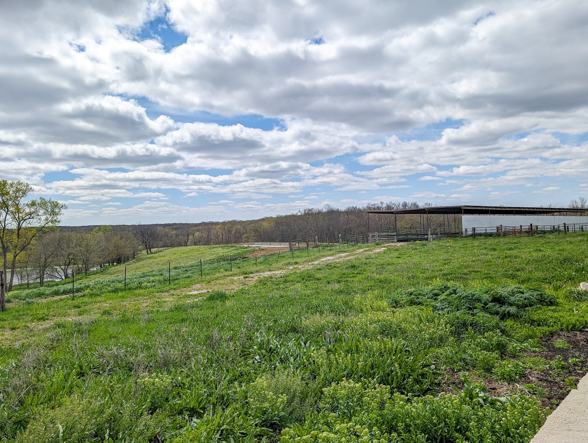 00 Mcgruder Creek Road, Leon, Iowa image 7