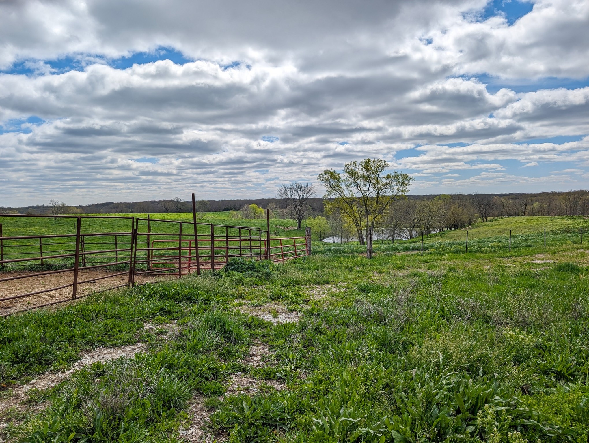 00 Mcgruder Creek Road, Leon, Iowa image 4