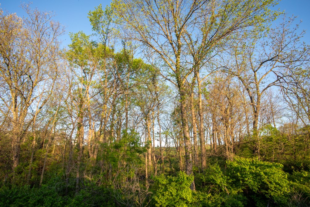 0000 Pierce Street, Knoxville, Iowa image 16