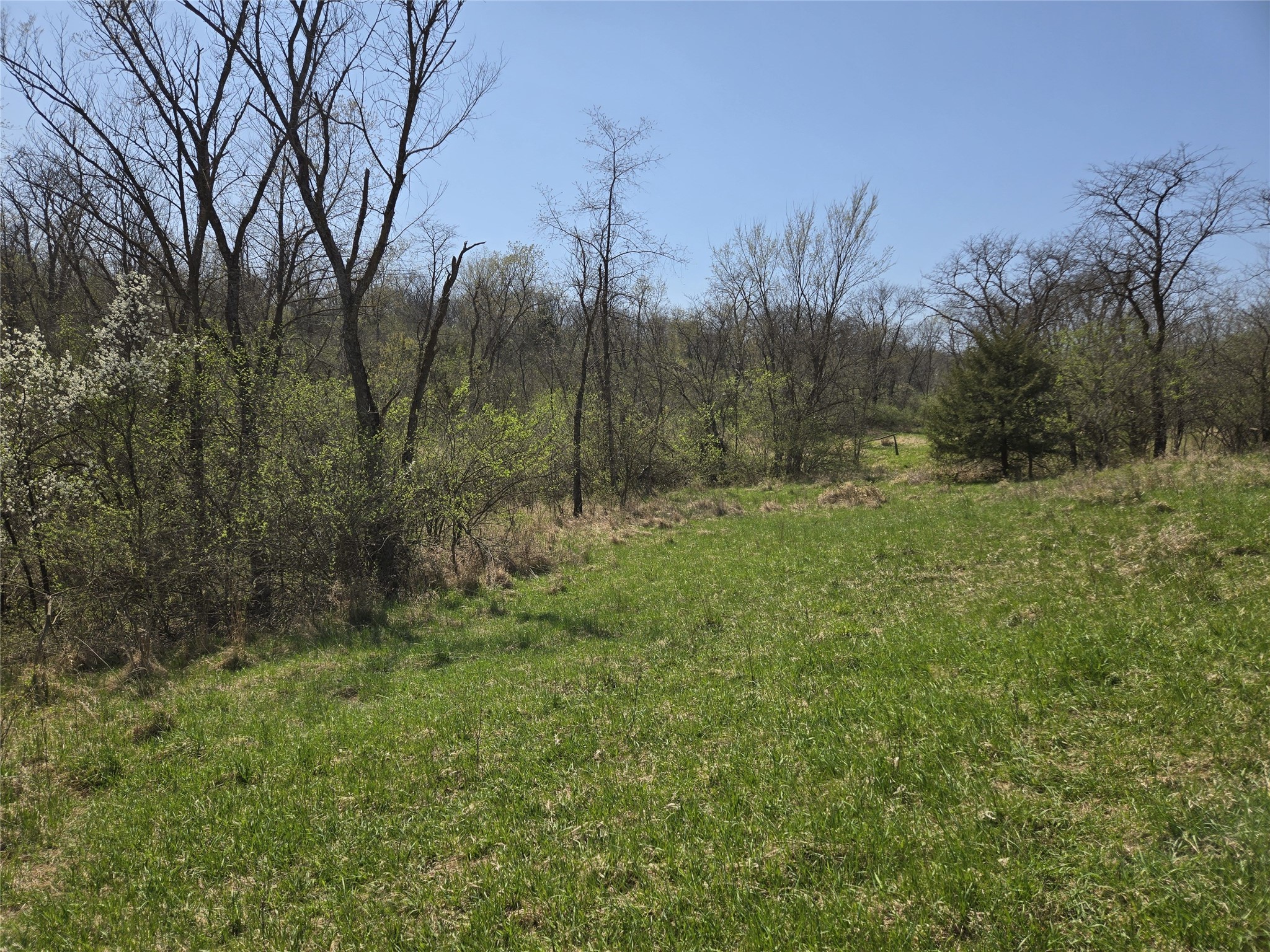 02 38th Avenue, Norwalk, Iowa image 10