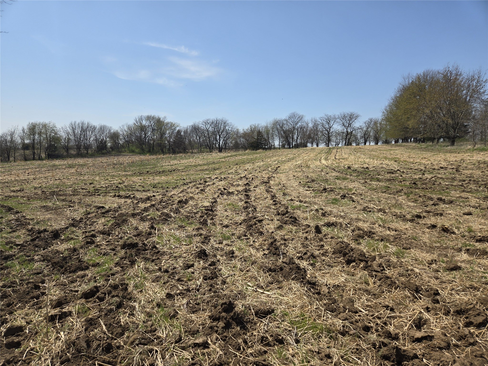02 38th Avenue, Norwalk, Iowa image 3