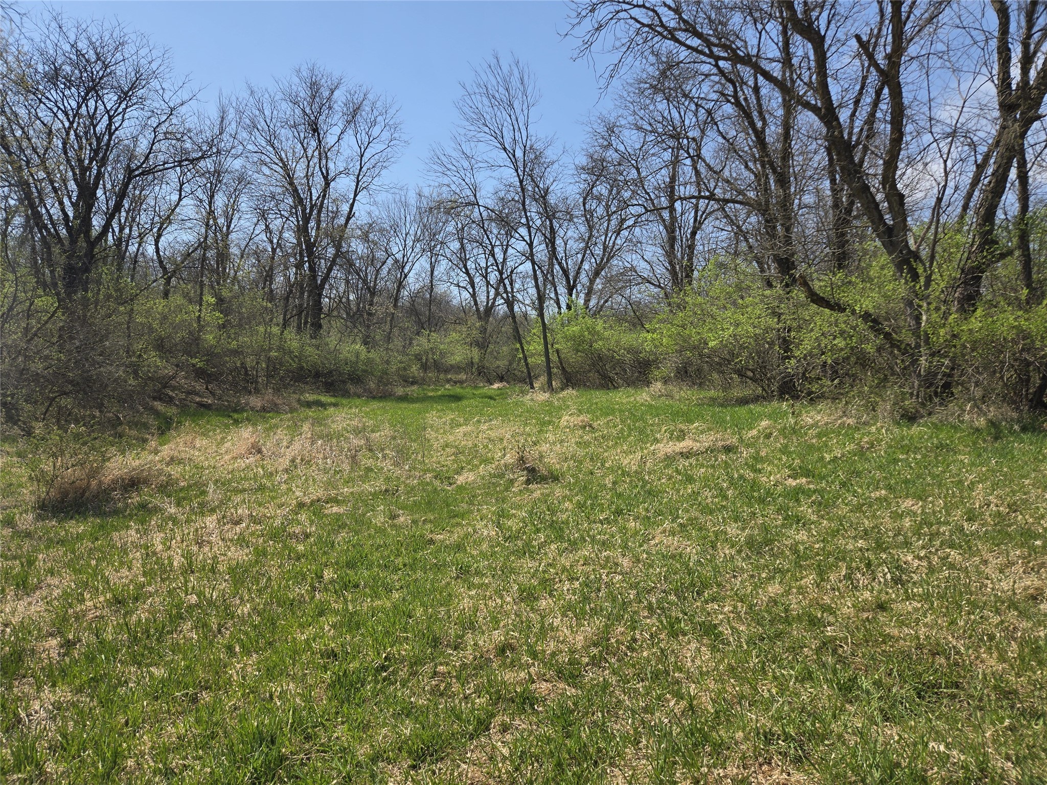 02 38th Avenue, Norwalk, Iowa image 12