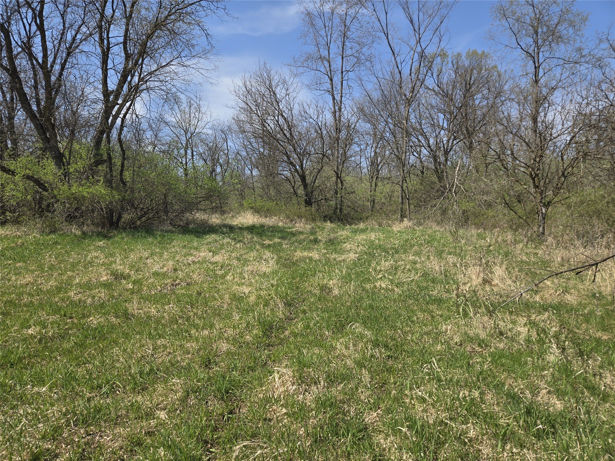 02 38th Avenue, Norwalk, Iowa image 11