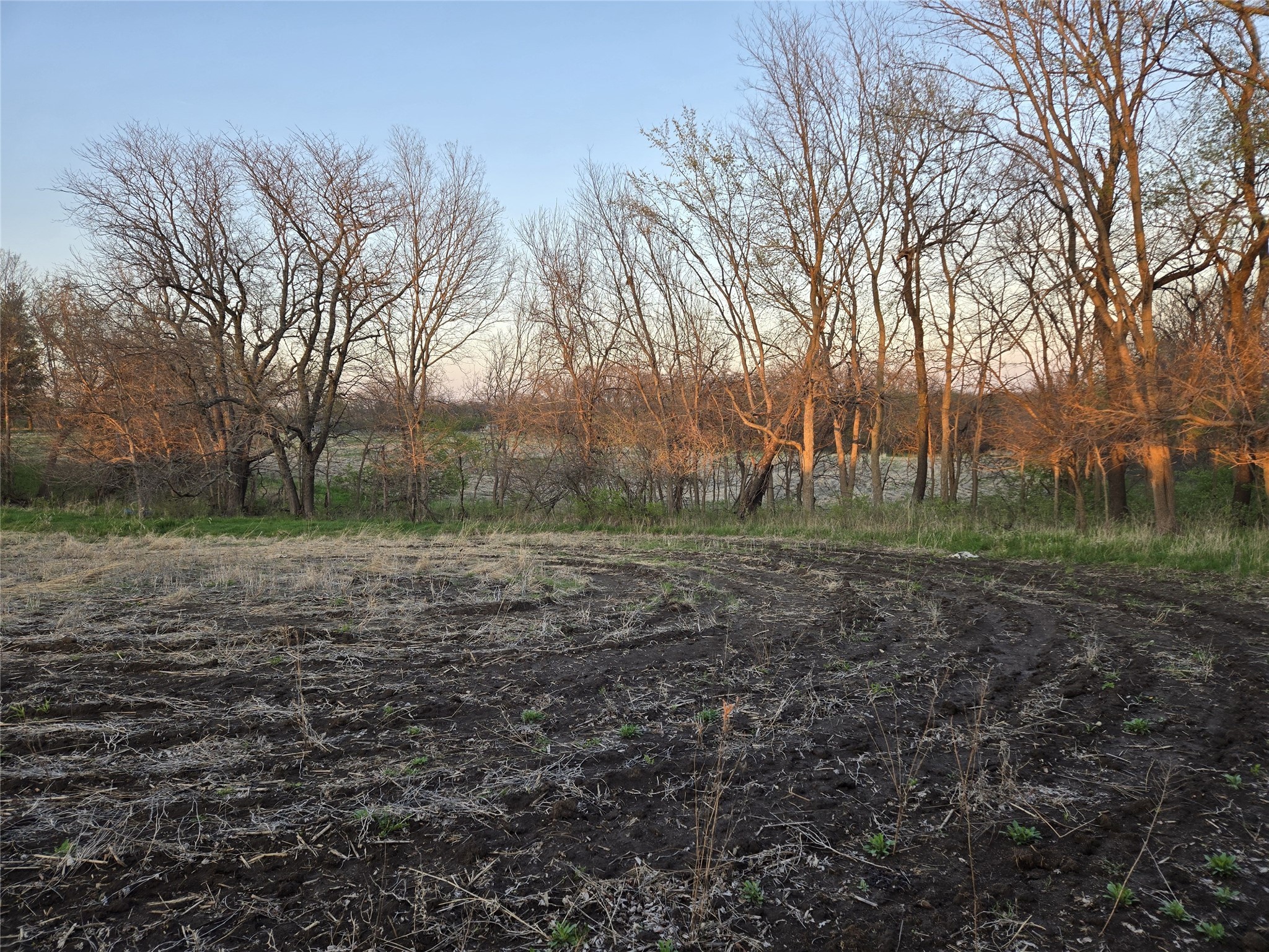 02 38th Avenue, Norwalk, Iowa image 15