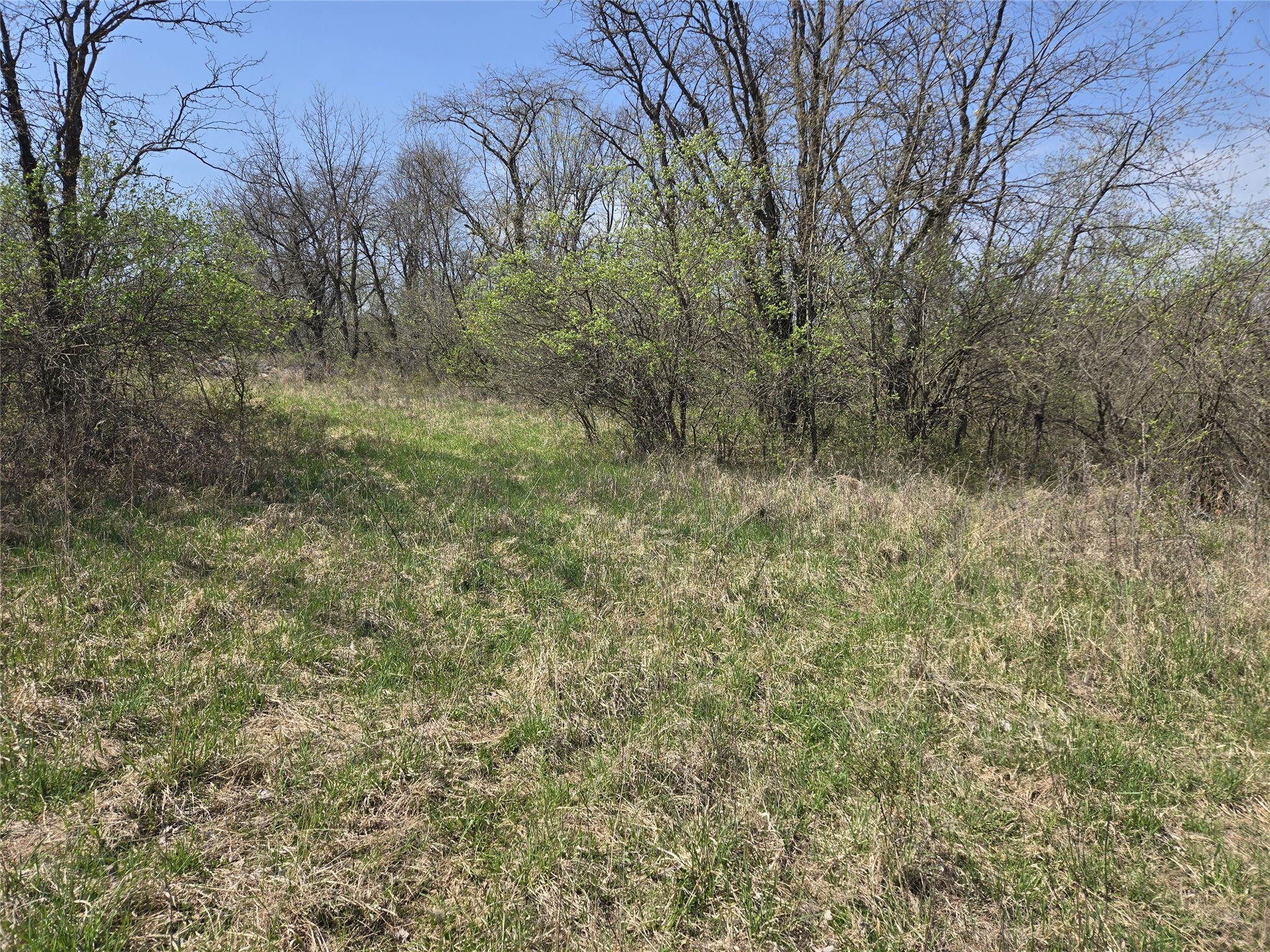 02 38th Avenue, Norwalk, Iowa image 4