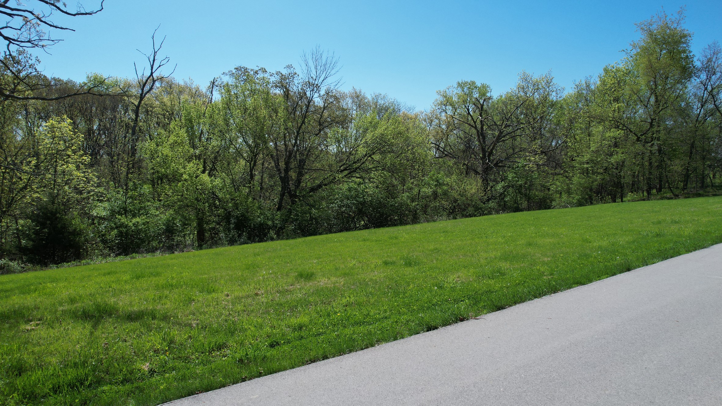 Lot 20 Amended Plat Of Mill Creek Street, Adel, Iowa image 2