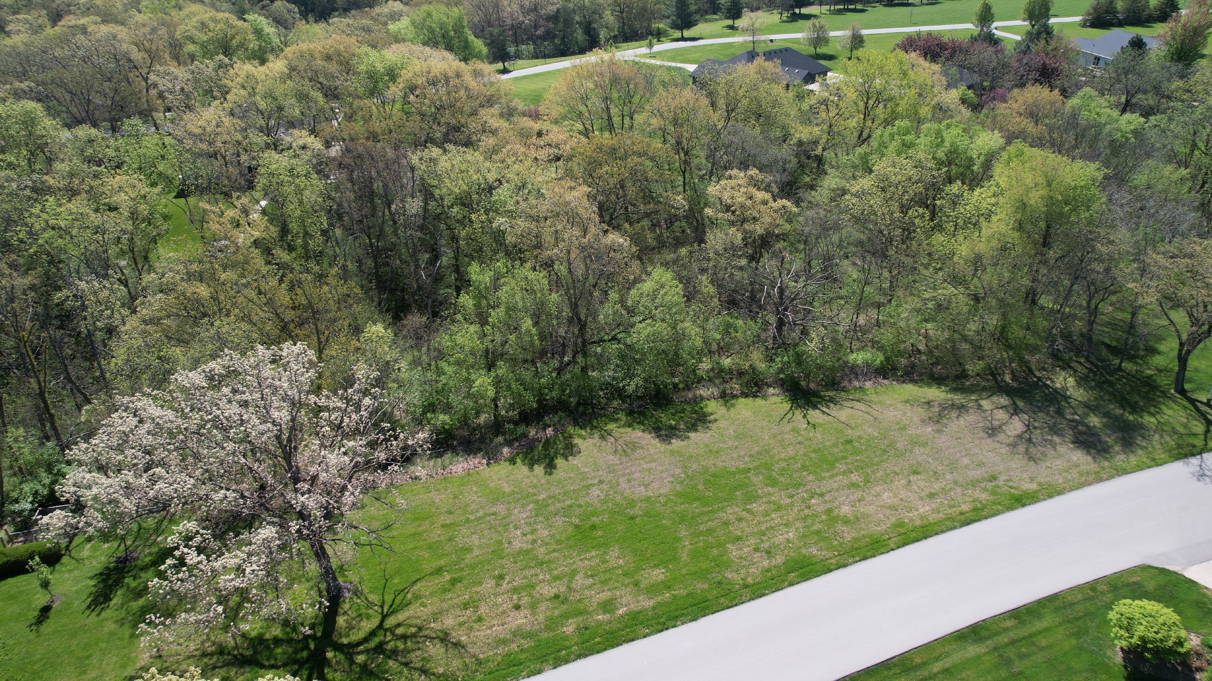 Lot 20 Amended Plat Of Mill Creek Street, Adel, Iowa image 4