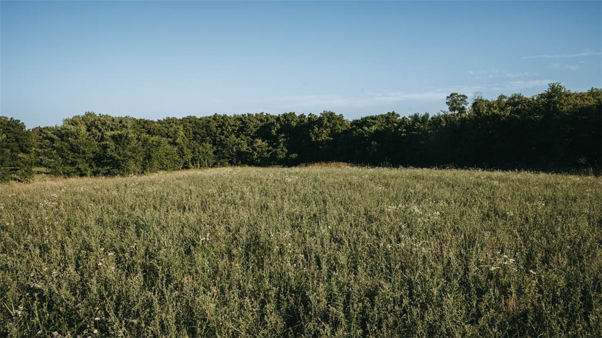 000 Kendell Street, Osceola, Iowa image 30